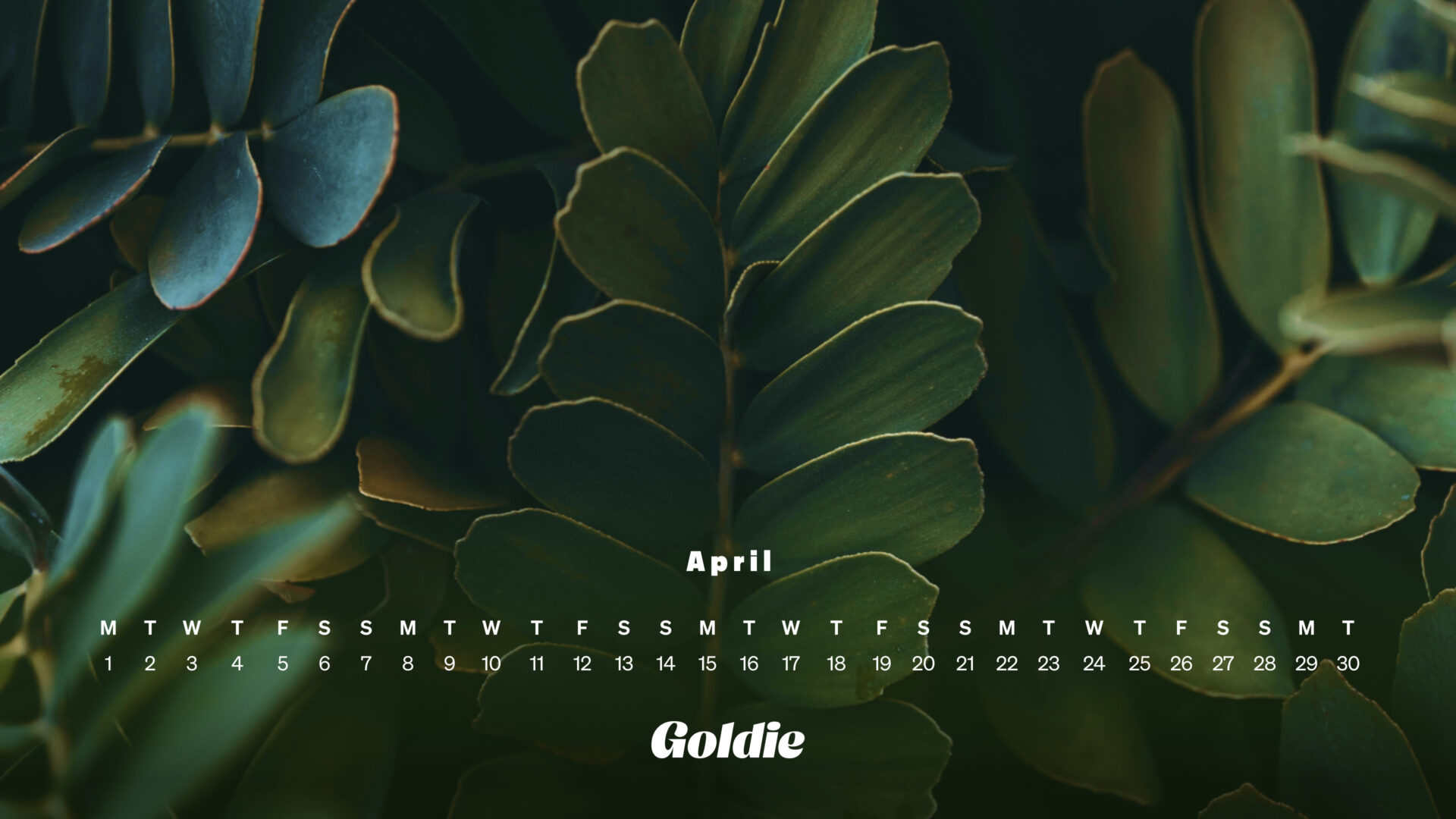Free April 2024 Calendar Wallpaper