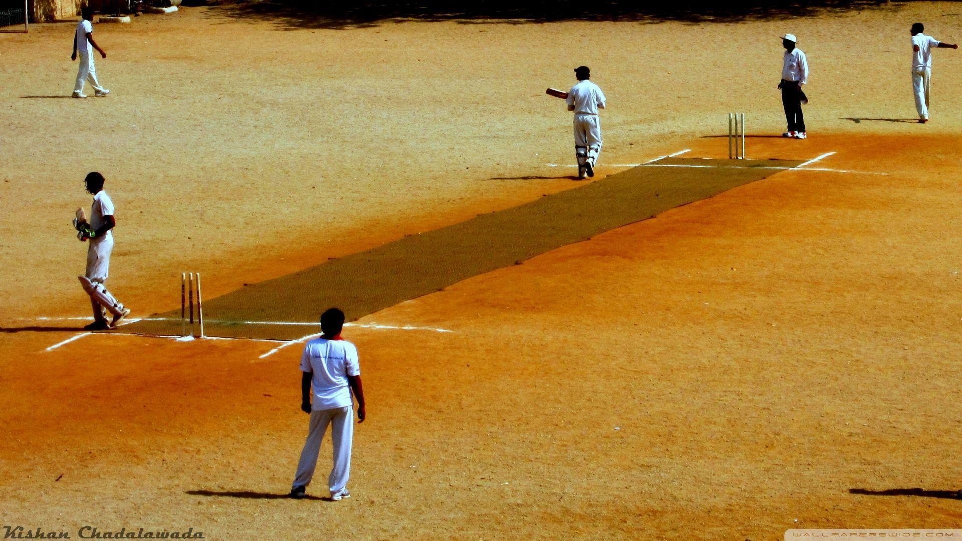 Cricket. HD desktop wallpaper, High Definition