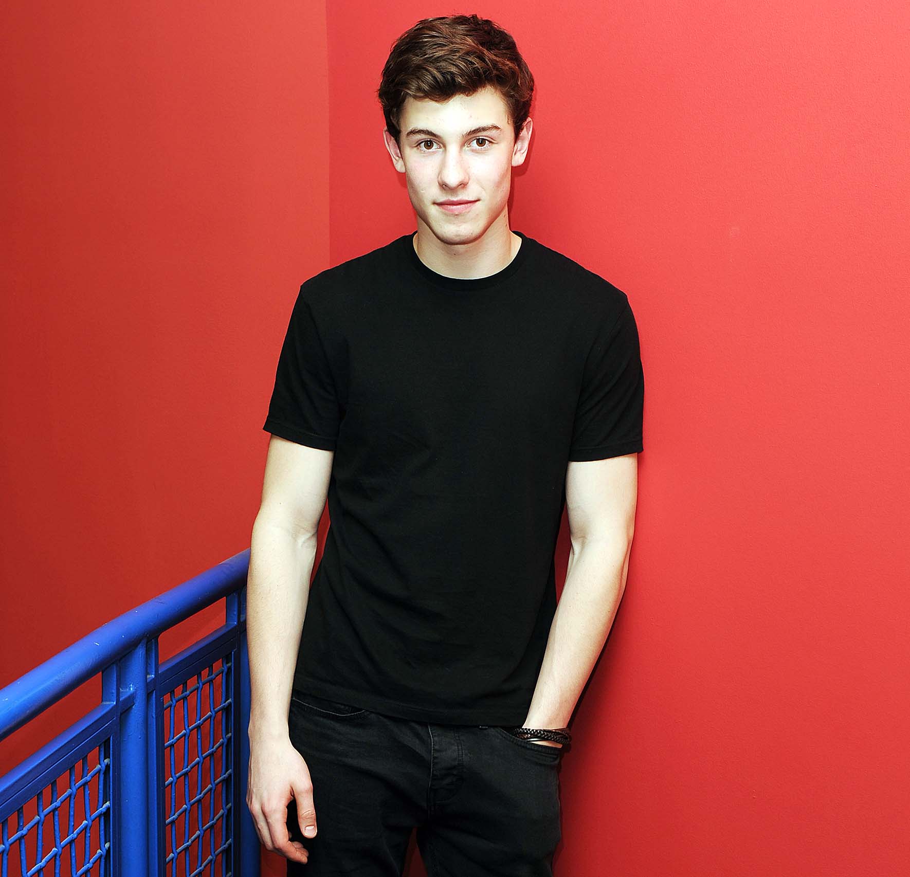 Shawn Mendes Top Picture 2016 Full HD