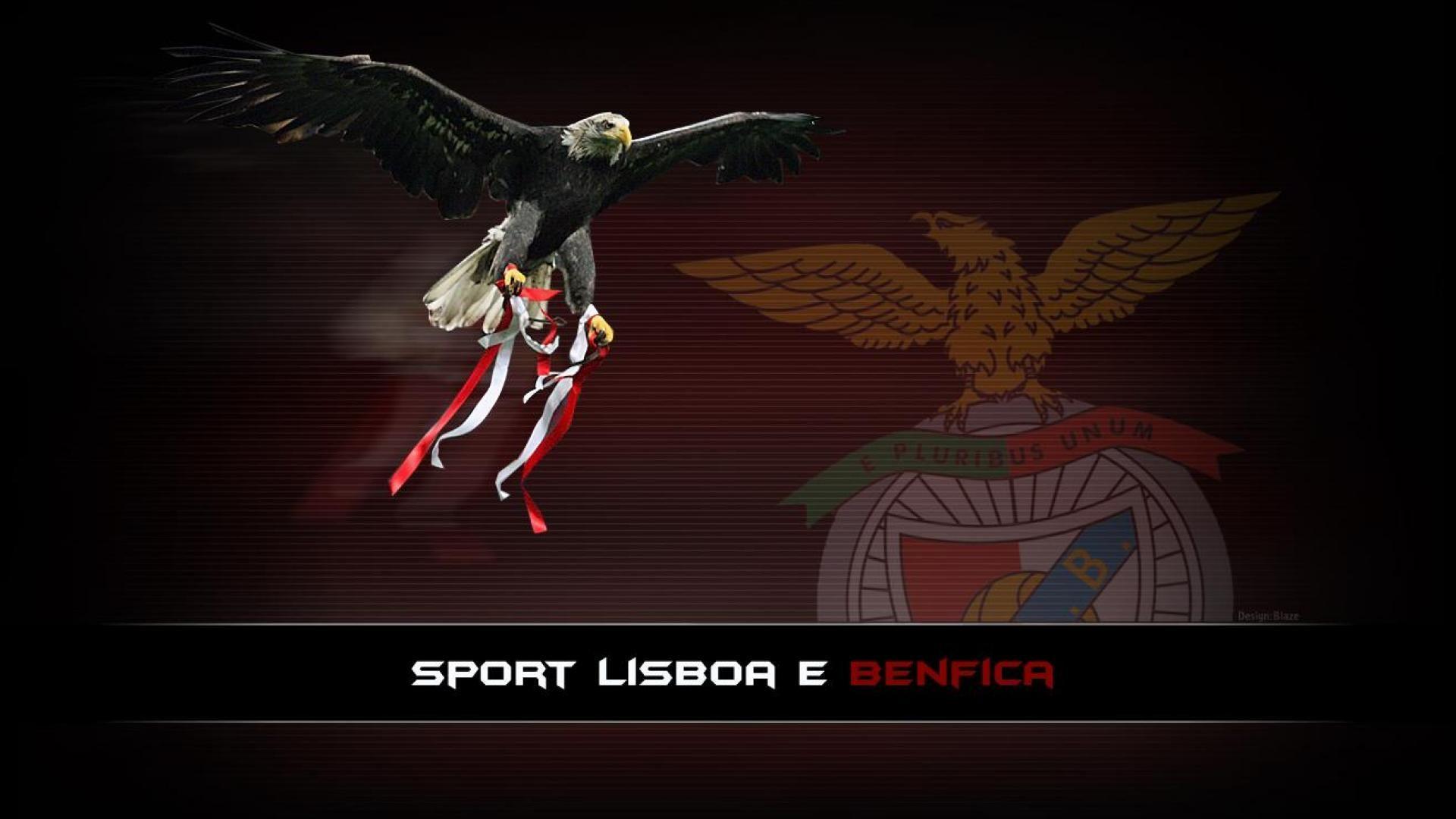 Collection of Benfica Wallpaper on Spyder Wallpaper