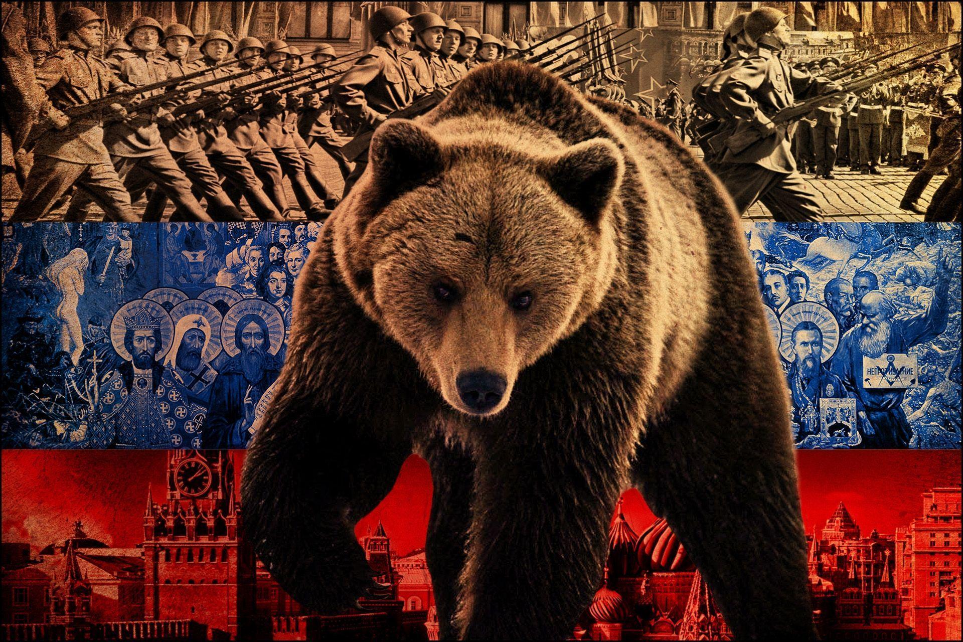 Wallpaper Bear, Symbol, Flag, Russia HD, Picture, Image