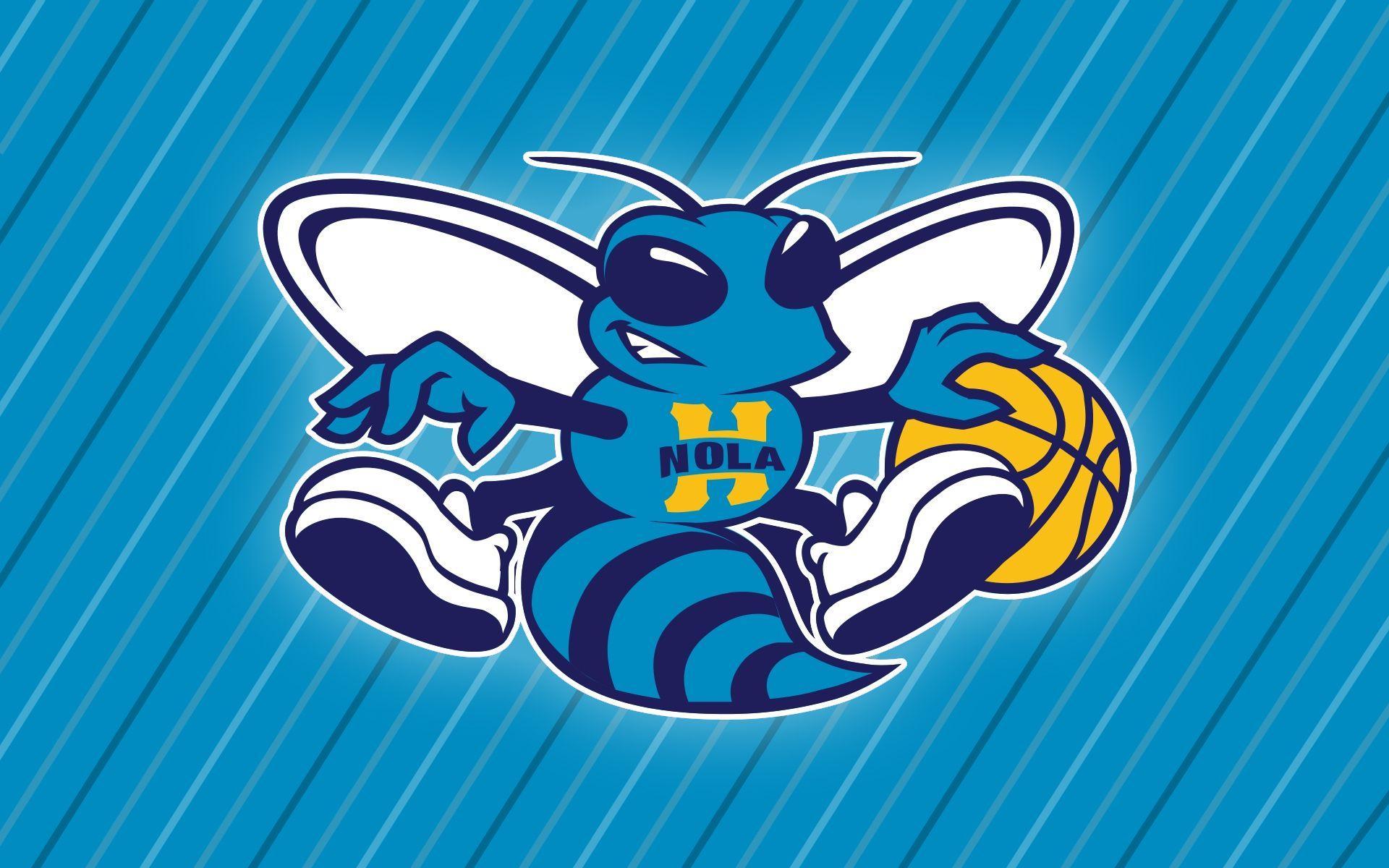 Charlotte Hornets Wallpaper Logo 2013 Wallpaper