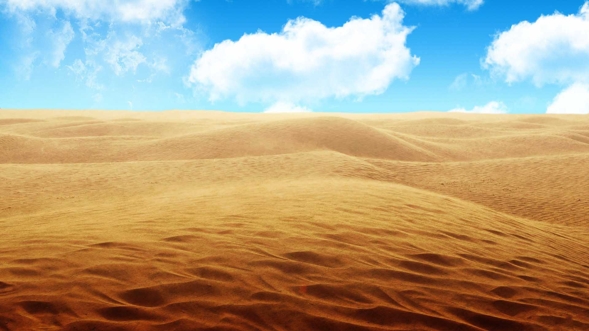 Sahara Desert HD Wallpaper HD Wallpaper
