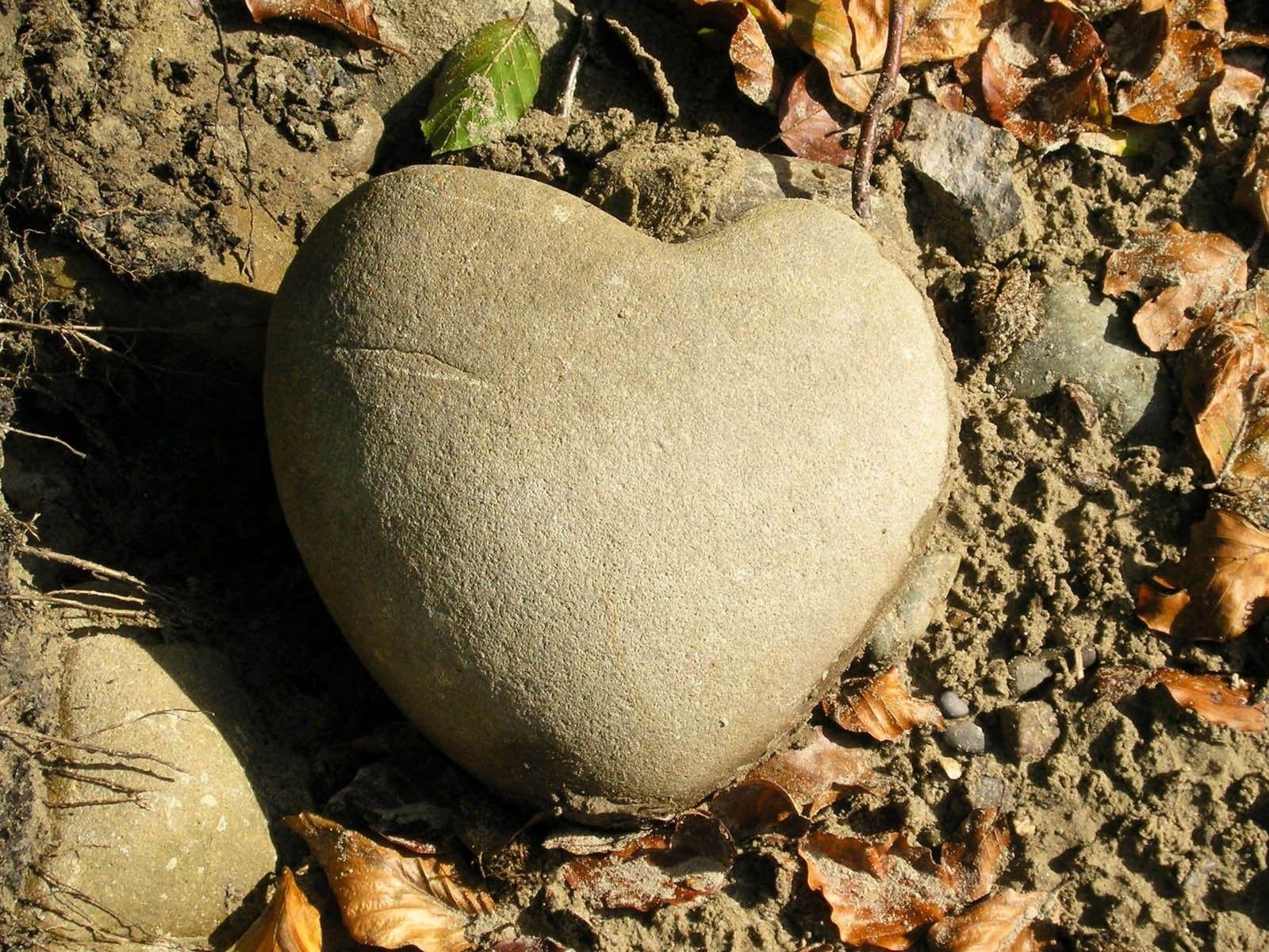 Misc: Heart Stone Natural Rock Stones Mud Nature Roots Leaves