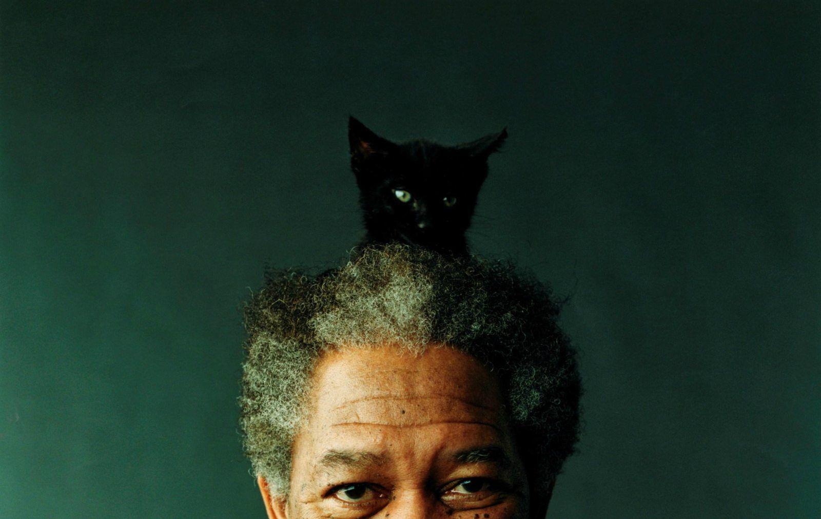 Morgan Freeman Cat Hat