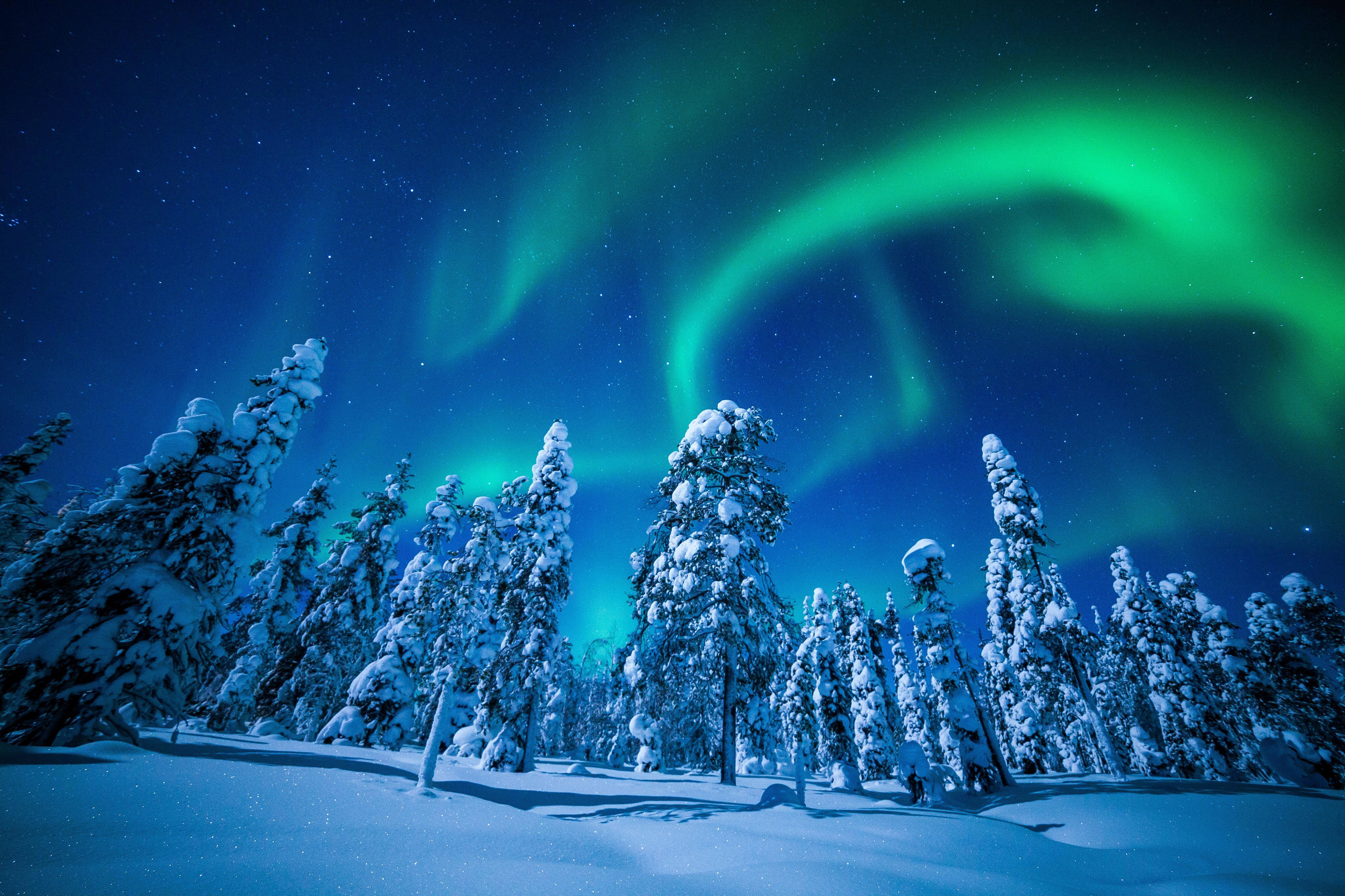 Wallpaper lapland, finland, winter, snow, tree, northen lights