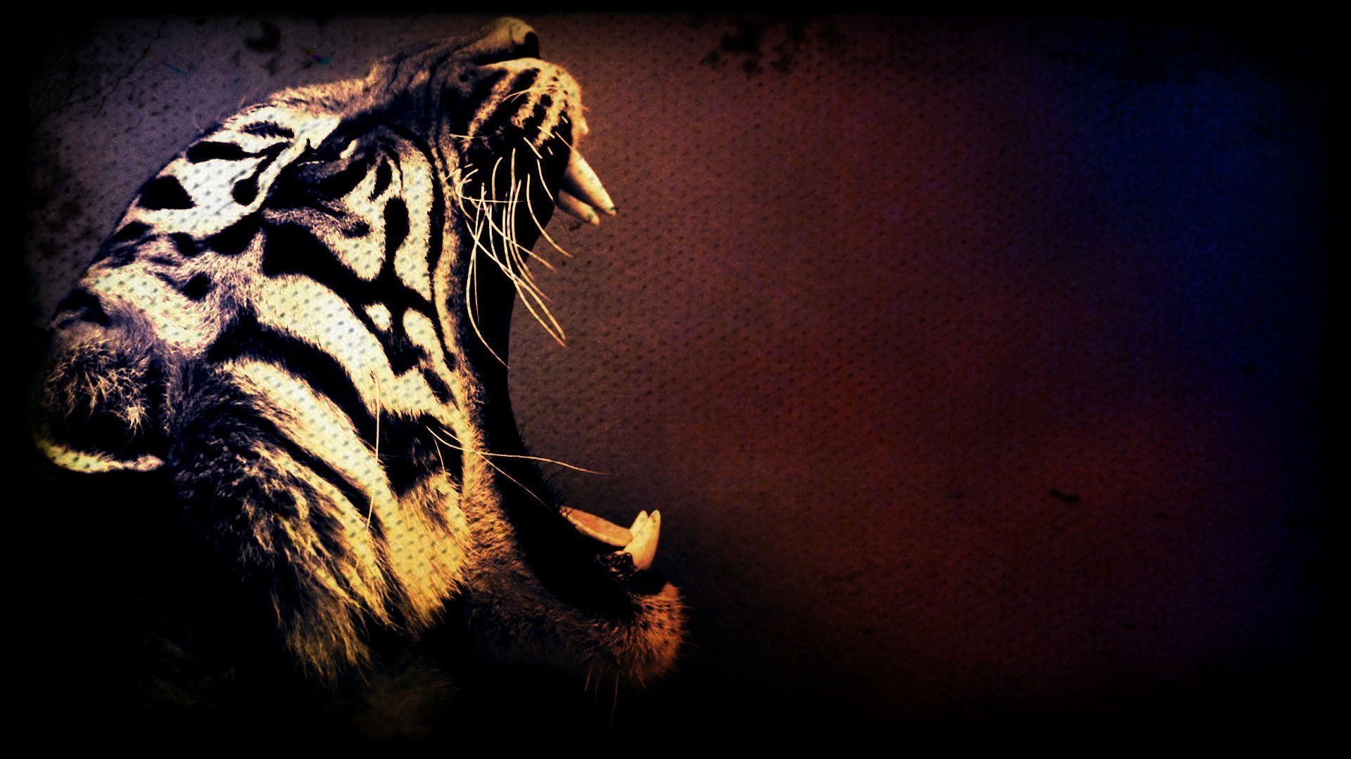 detroit tigers wallpaper HD