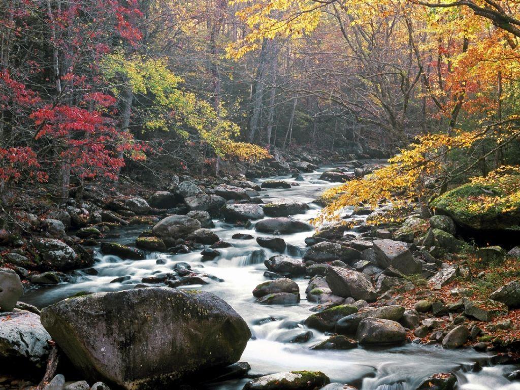 Nature: Little River, Tremont, Great Smoky Mountains National Park