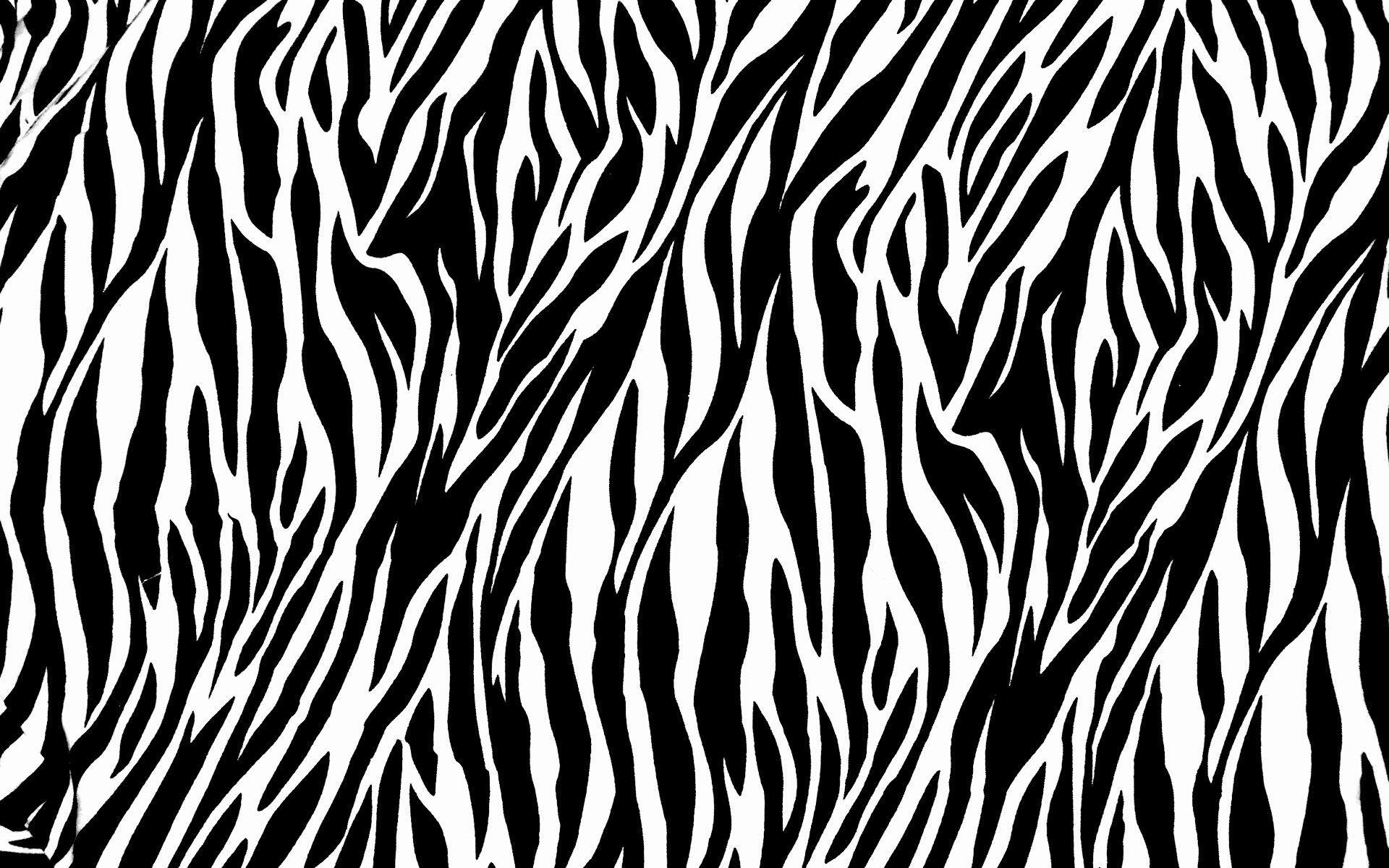 Zebra Computer Wallpaper