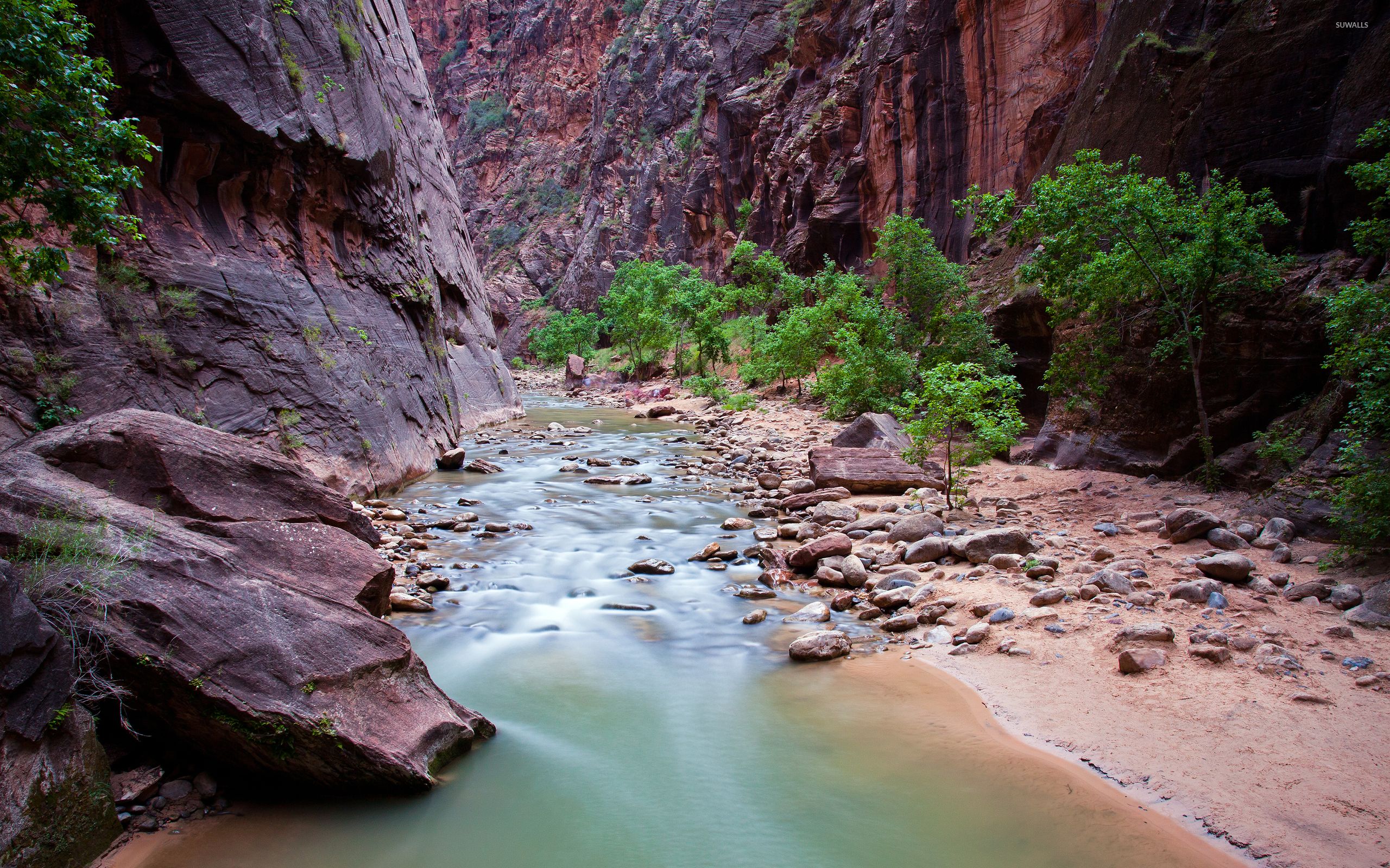 Small river stream in Zion National Park wallpaper