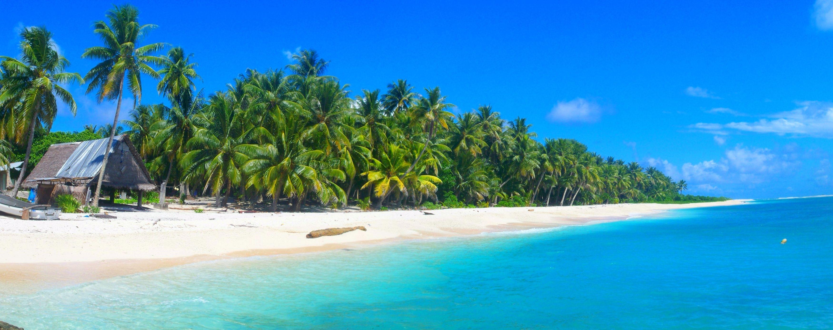 palm trees, summer, beautiful, beach, hut, white sand, boat