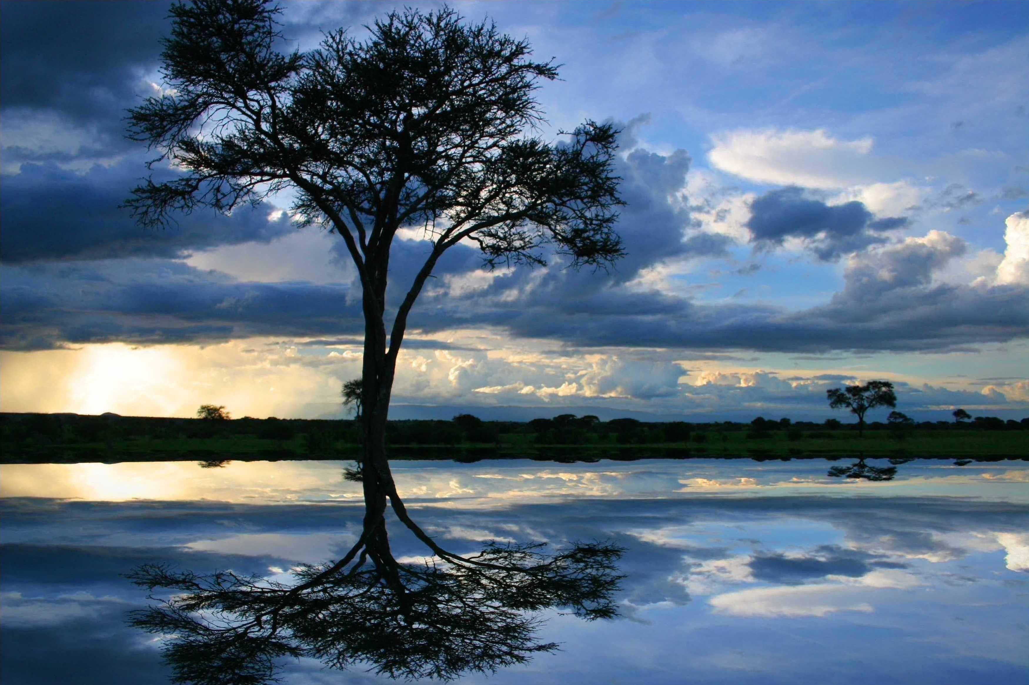 Lake: Africa Water Tanzania Blue Tree Landscape Lake Wallpaper