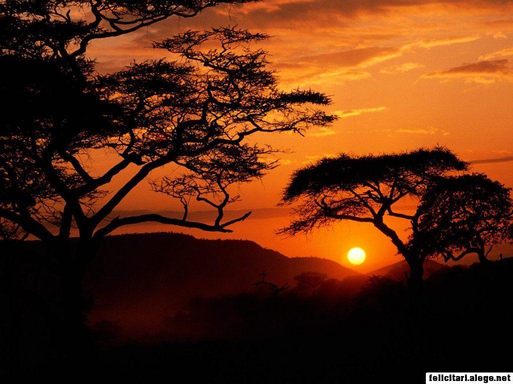 free wallpaper Serengeti National Park Sunset Tanzania 1024 x 768