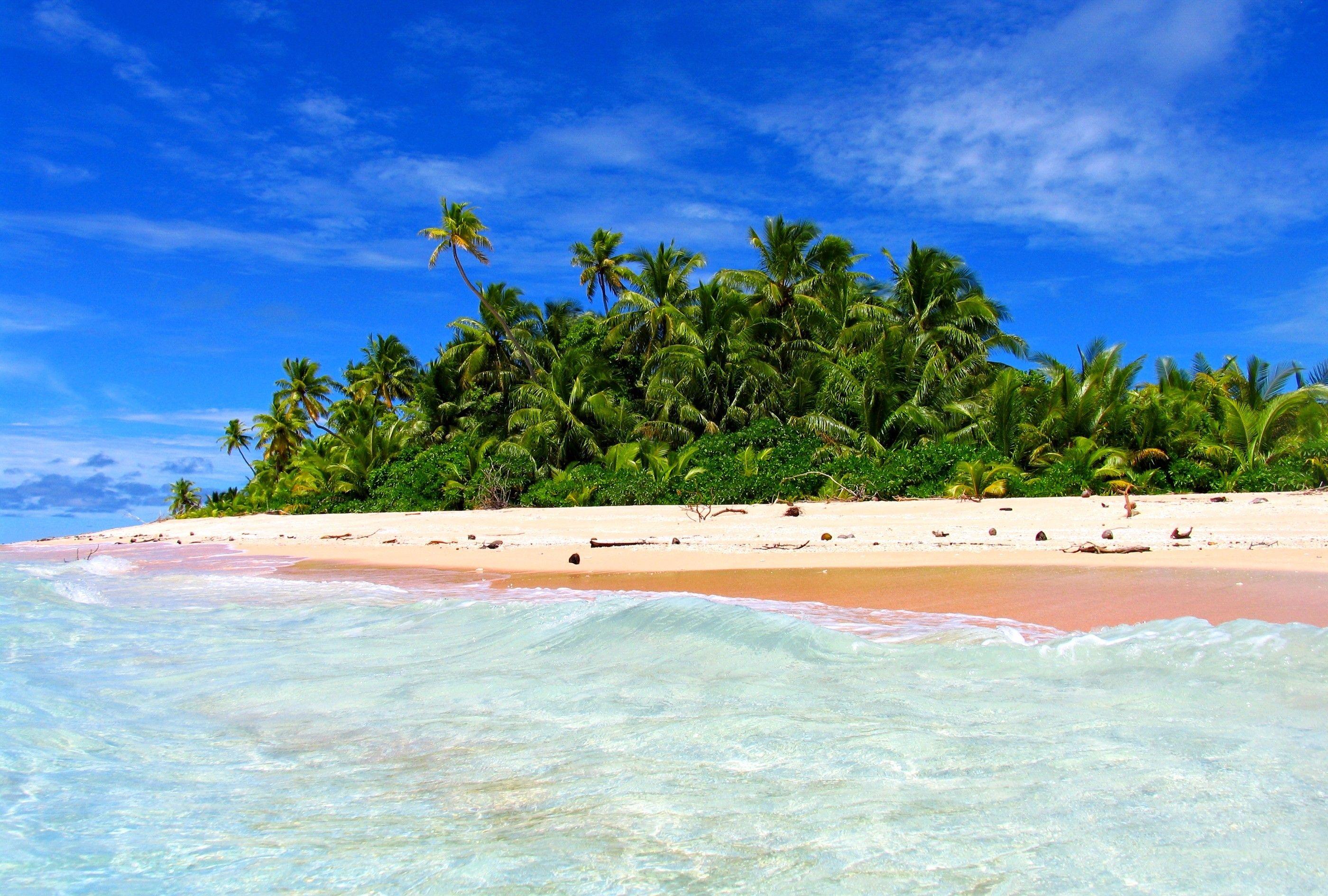 Beach: Funafuti Atoll Tuvalu Island Paradisiac Sand Sea Palms