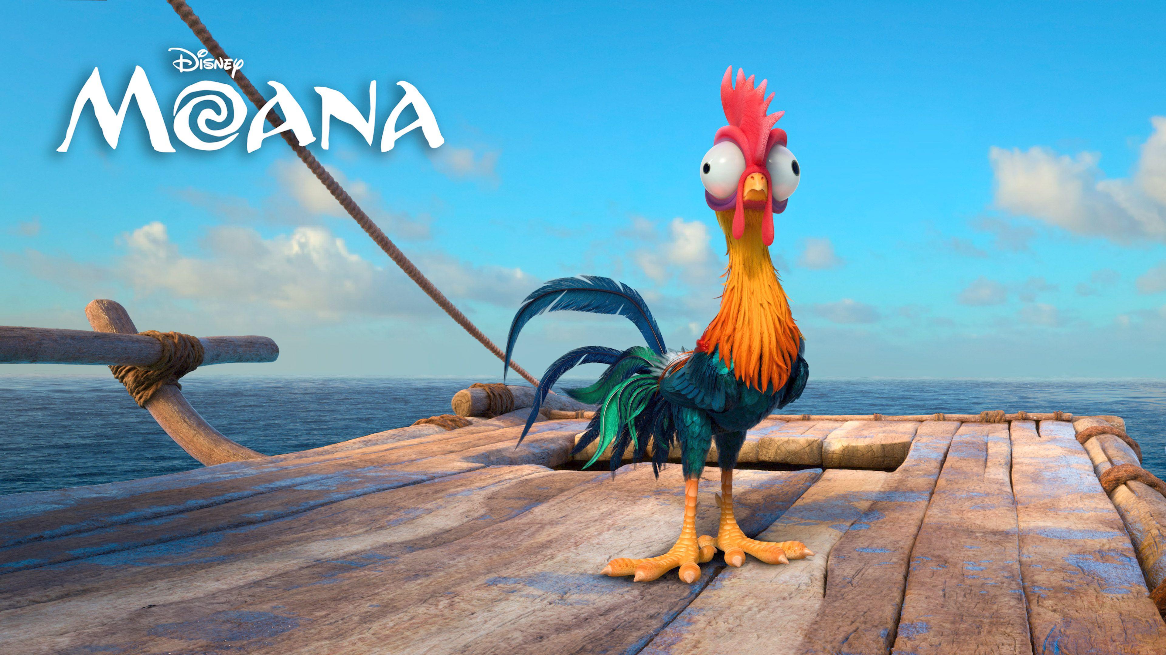 Hei Hei Moana Wallpaper