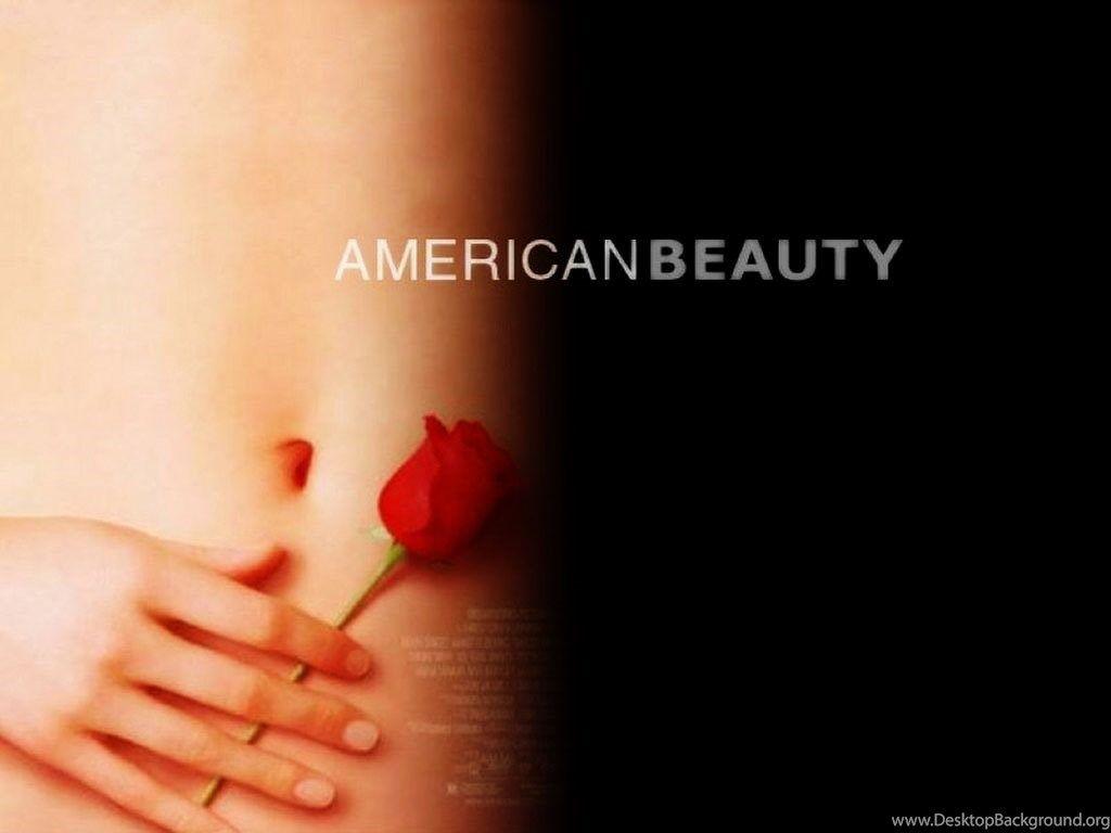 American Beauty Wallpaper Wallpaper