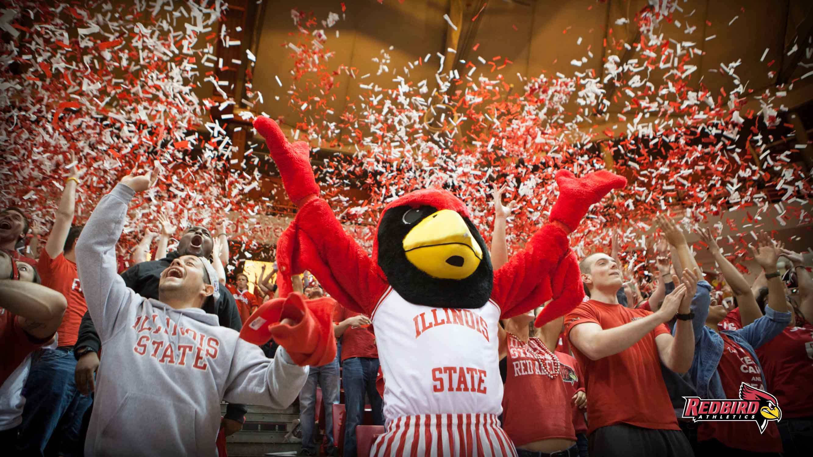 Illinois State Wallpaper