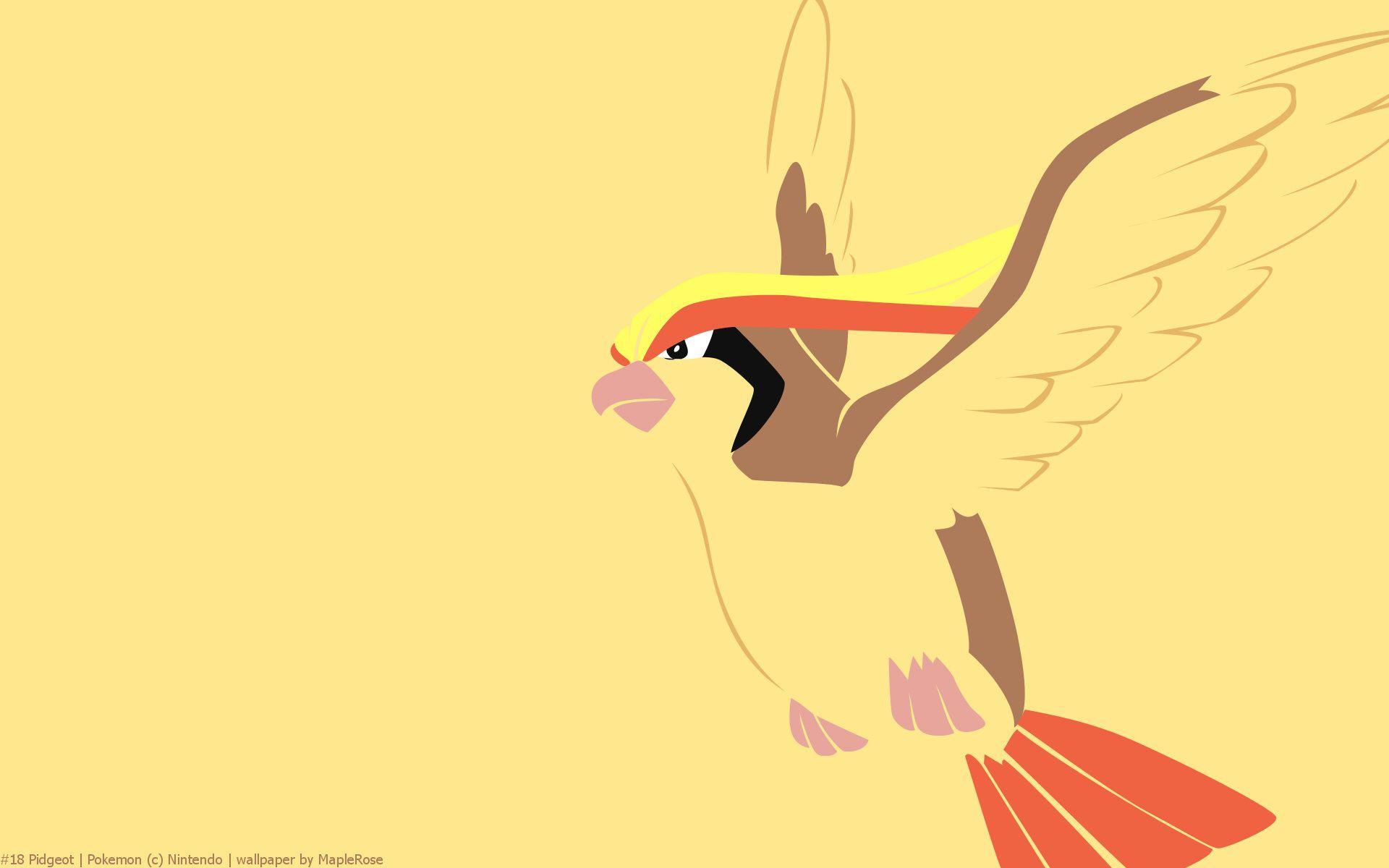 Pidgeot Pokemon HD Wallpaper HD wallpaper, iPhone, Samsung