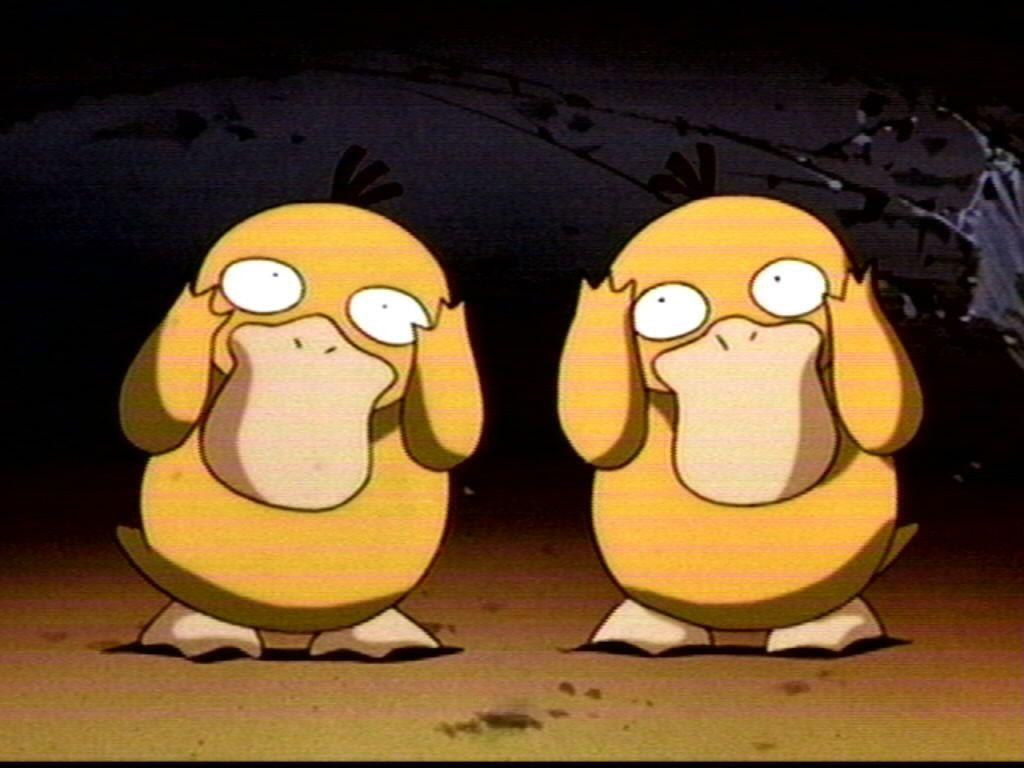 Psyduck image Psyduck HD wallpaper and background photo