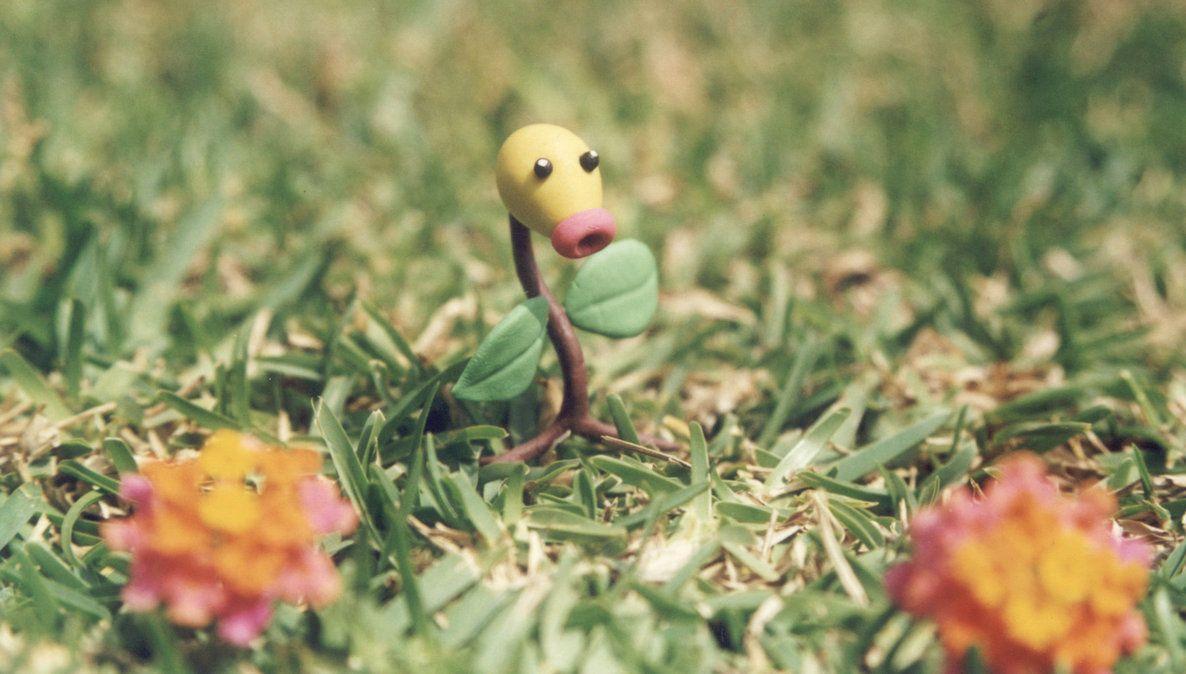 Bellsprout 'my first pokemon'