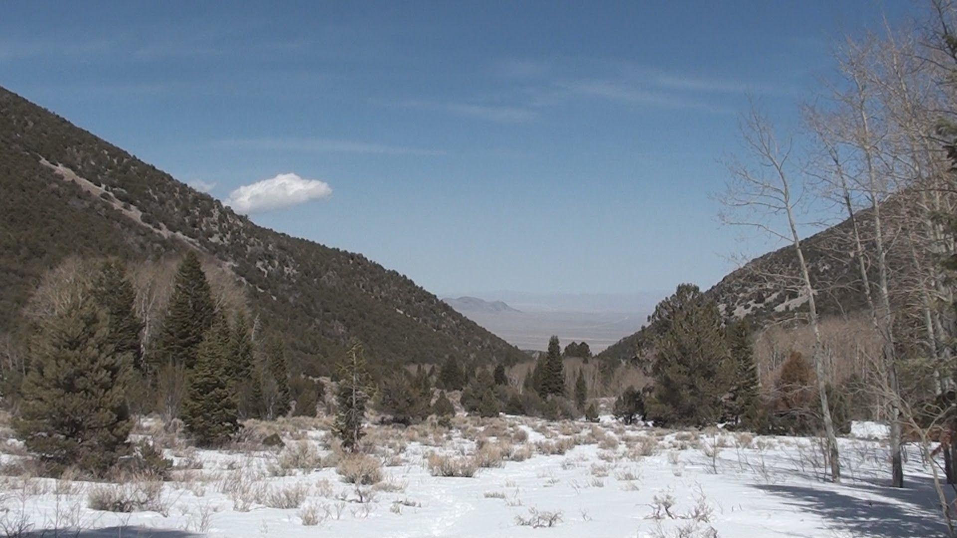 Great Basin National Park: Pole Canyon