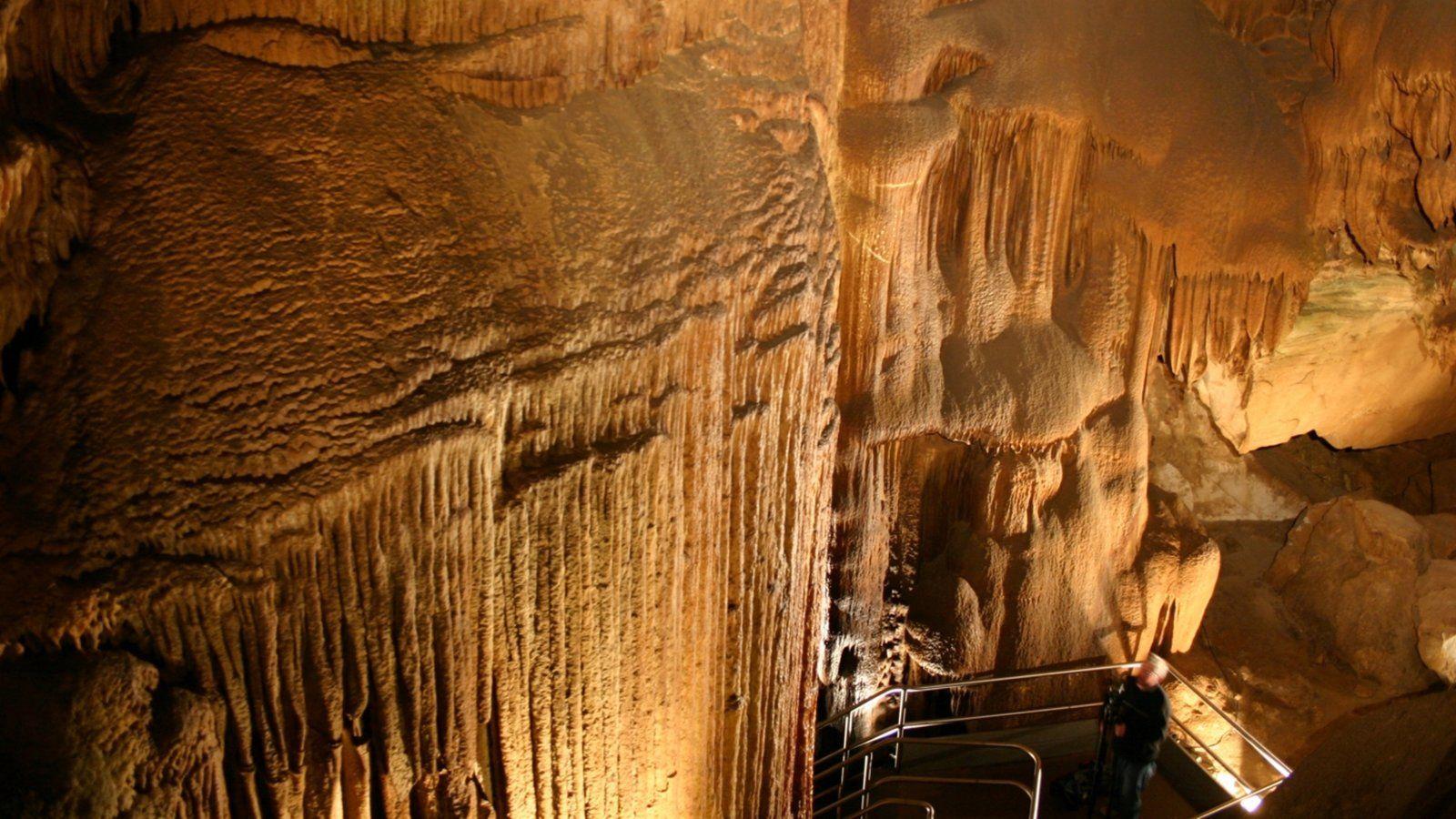 Mammoth Cave National Park Picture: View Photo & Image