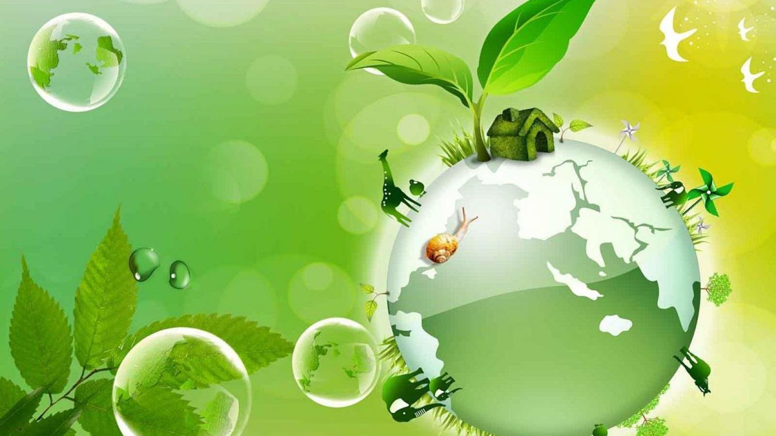 Earth Day Wallpaper Latest HD Picture Image and WallpaperD