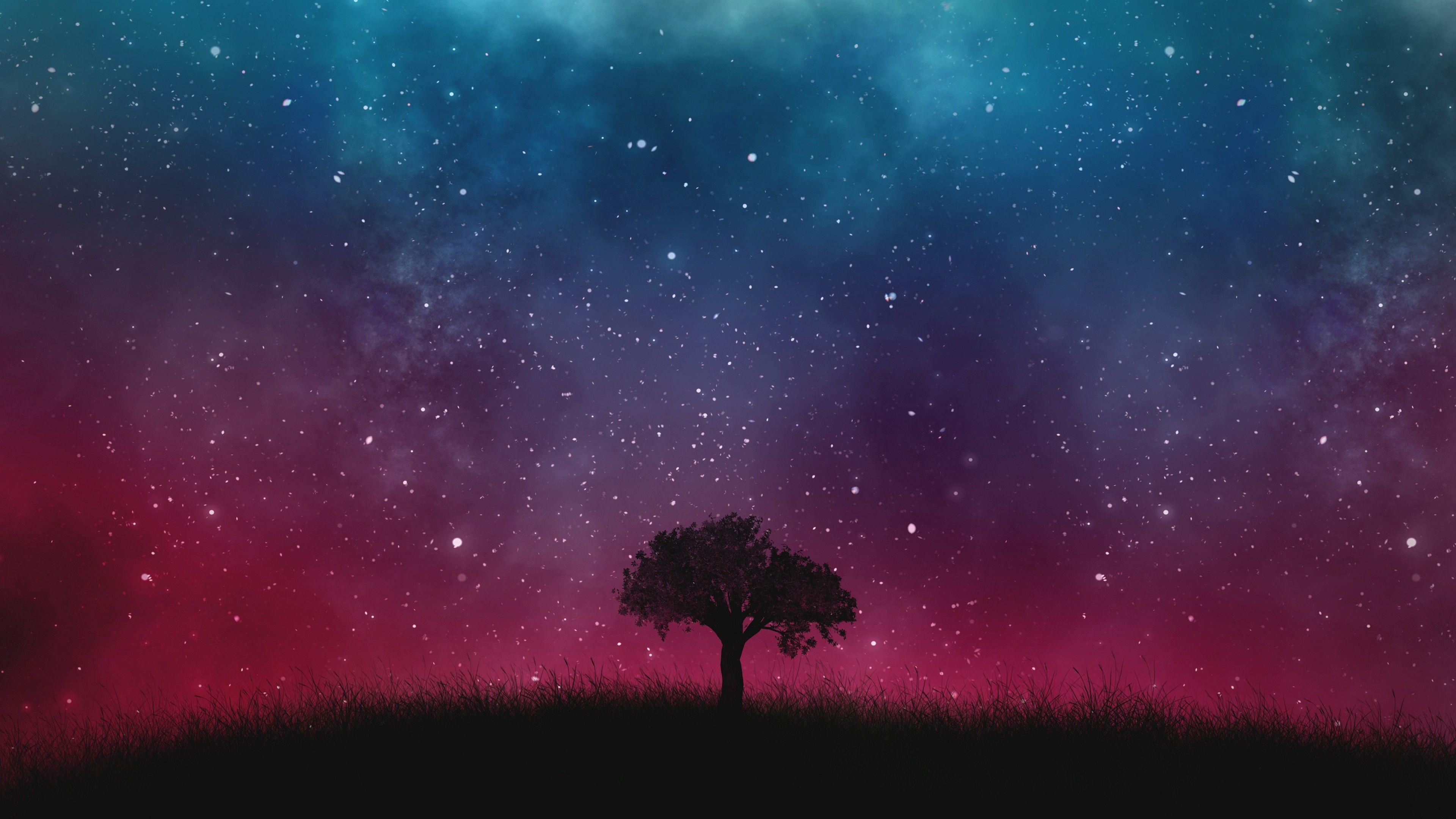 A Tree And The Universe Widescreen Wallpaper. Wide Wallpaper.NET