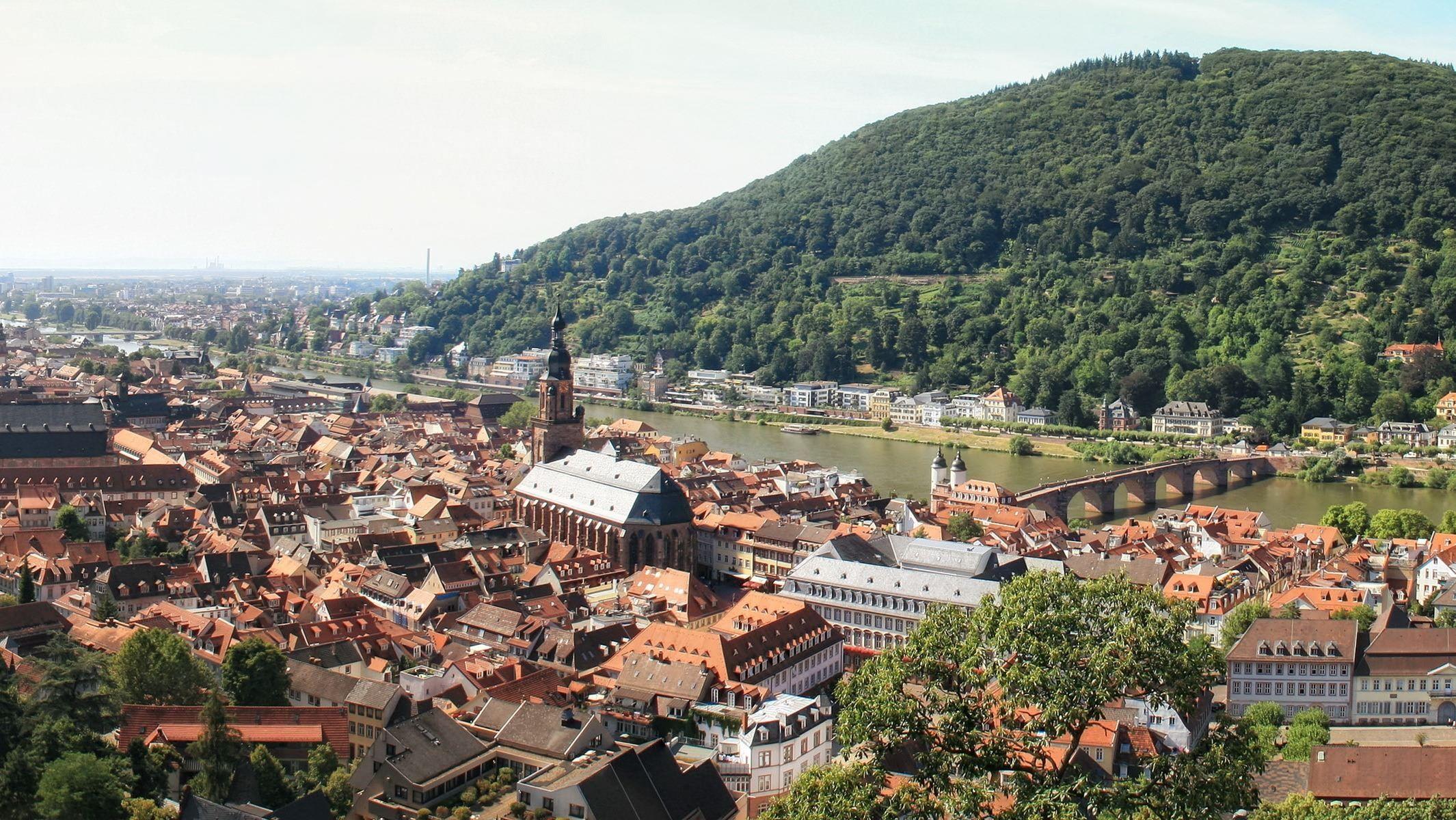 Wallpaper Germany, Heidelberg, from above, city City, nature