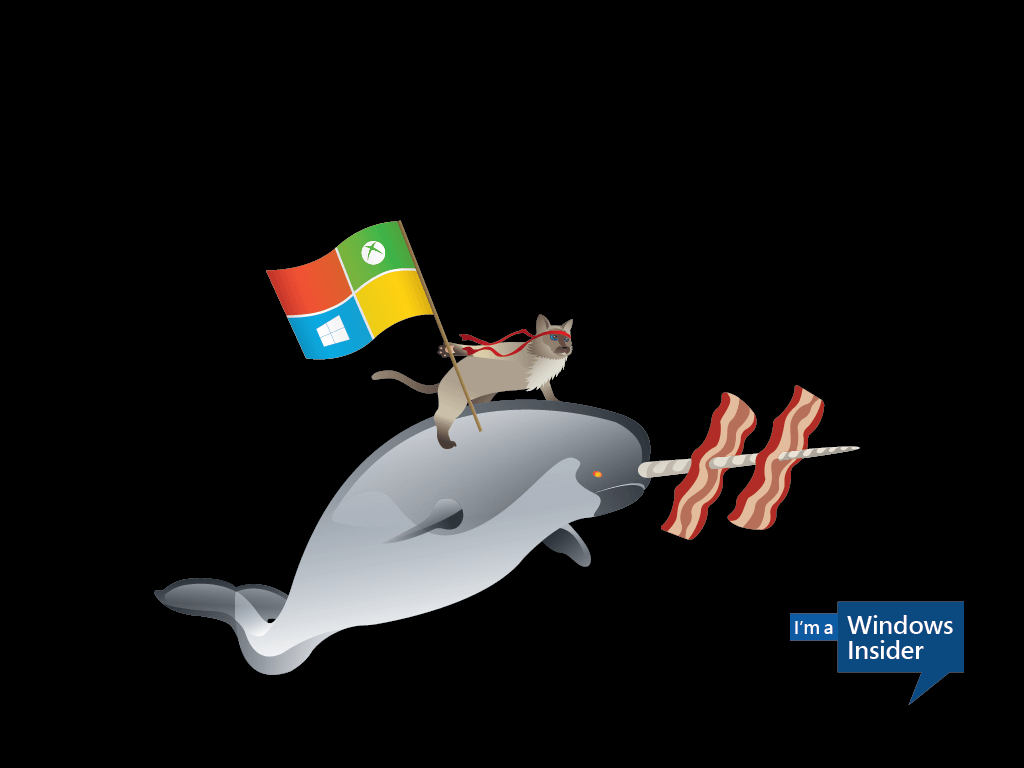 Celebrate the Windows 10 'ninjacat' meme with new Microsoft desktop