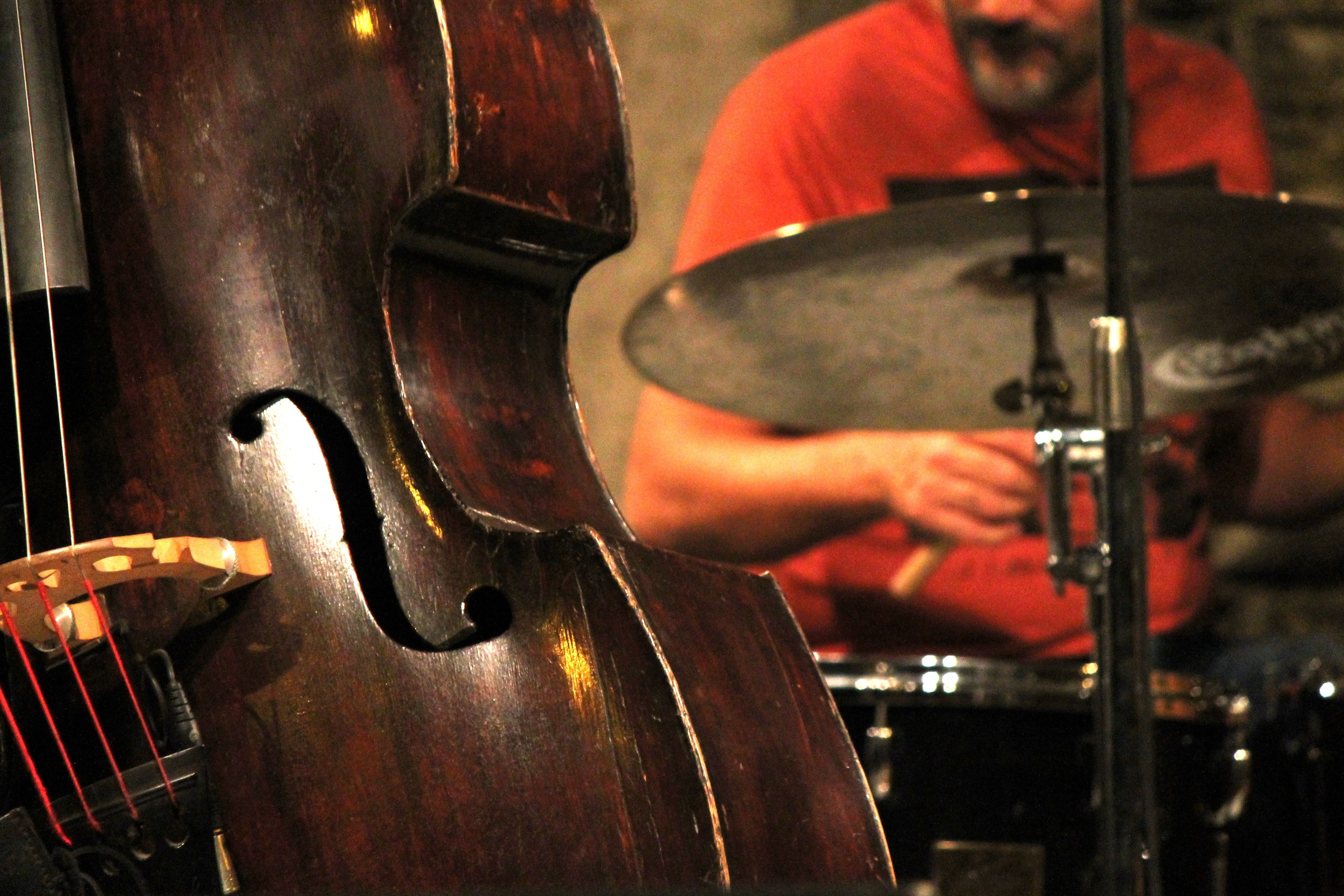 royalty free double bass image