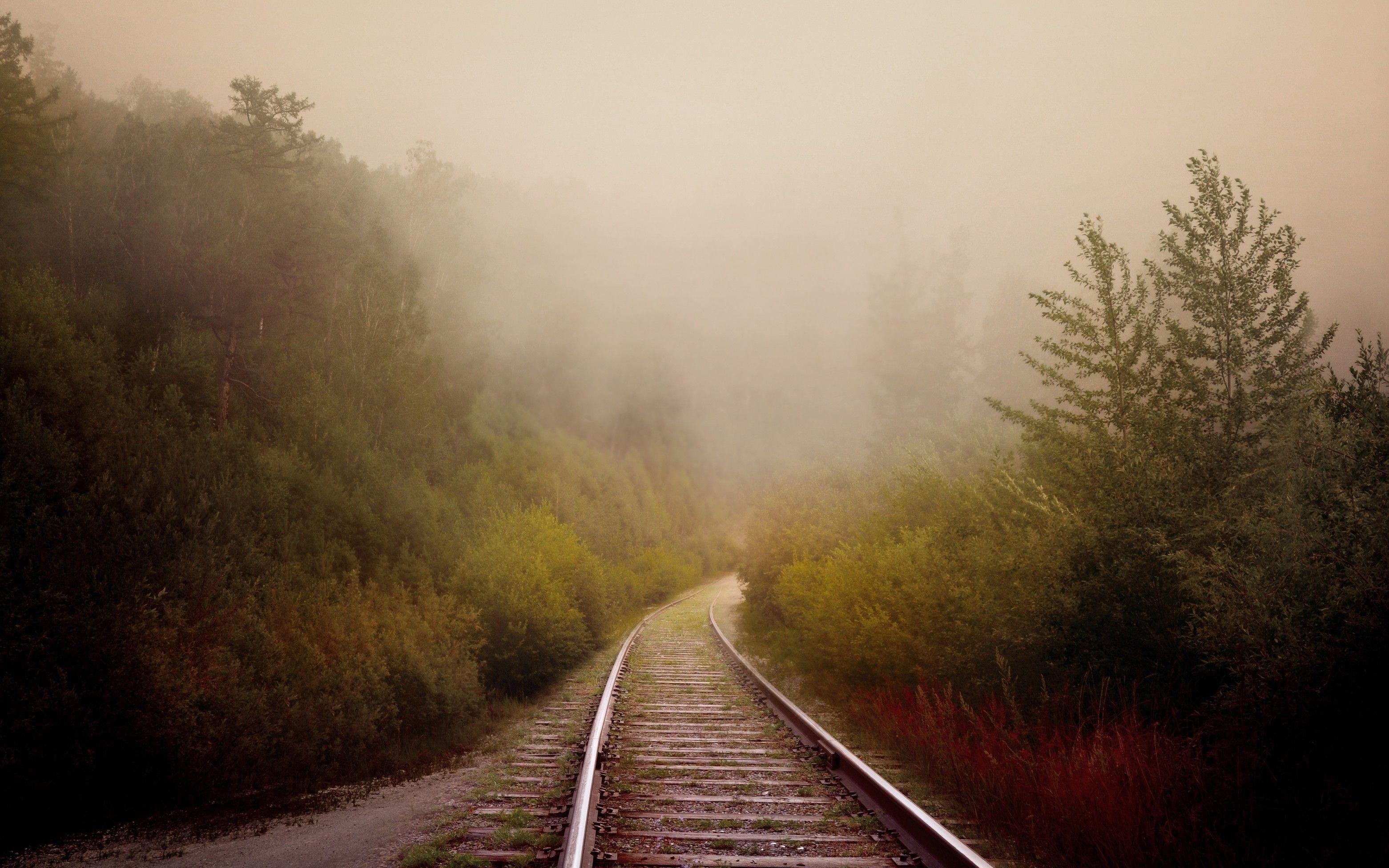 Download 3123x1952 Railway, Trees, Fog Wallpaper
