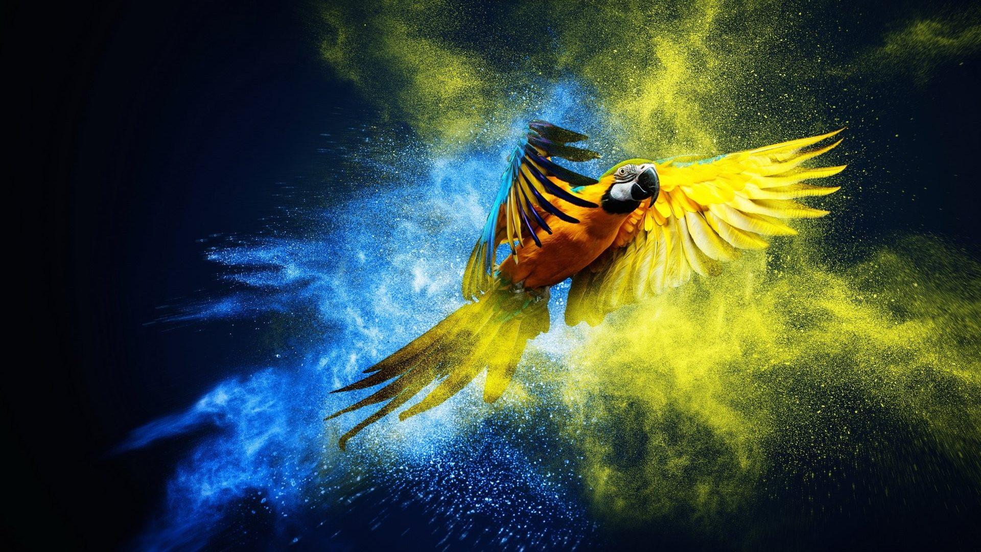 Birds: Macaw Artwork Parrot Wallpaper Of Birds With Flowers for HD