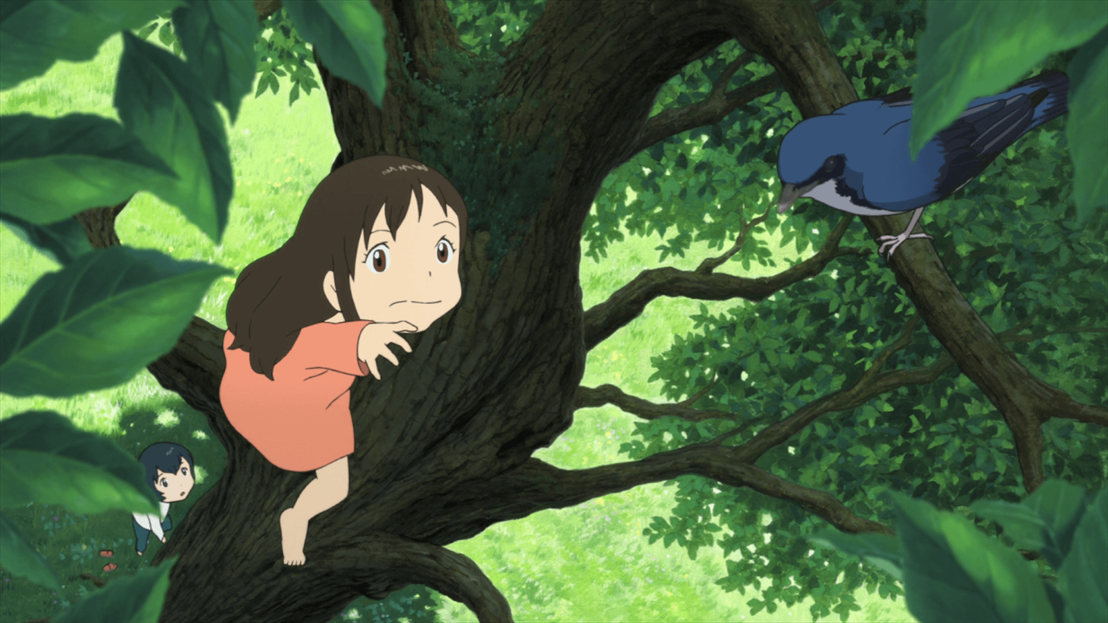 Ame and the bird, Wolf Children Wallpaper
