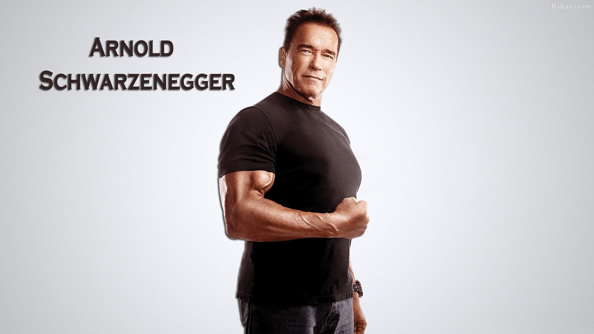 Arnold Schwarzenegger Wallpaper HD Background, Image, Pics