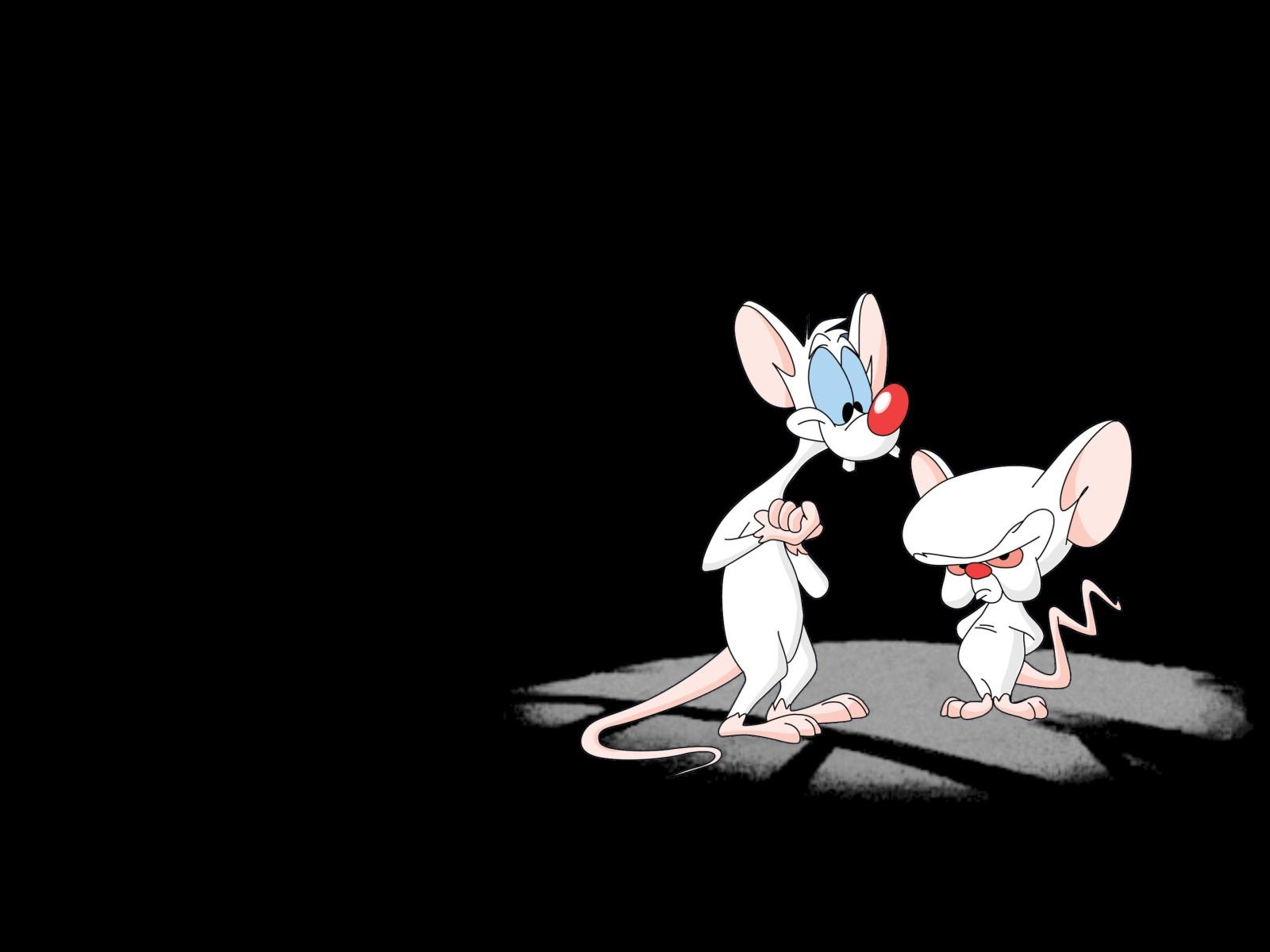 Pinky And The Brain Wallpaper 2 X 1200