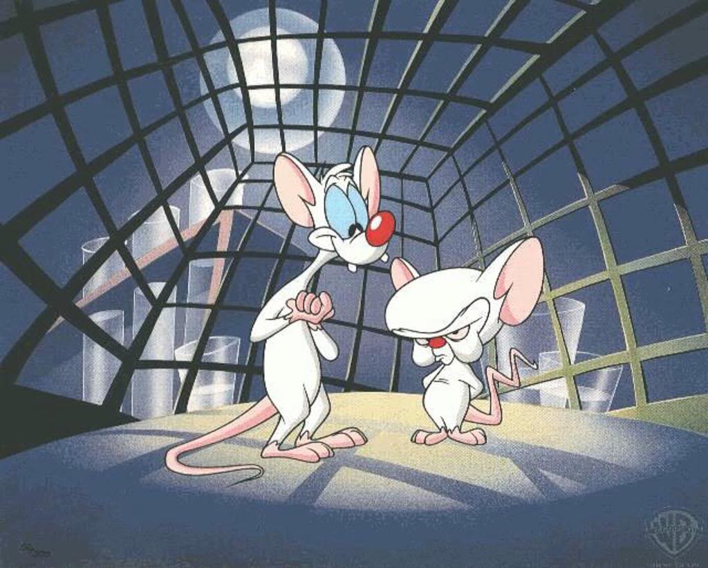 Pinky and the Brain Wallpaper