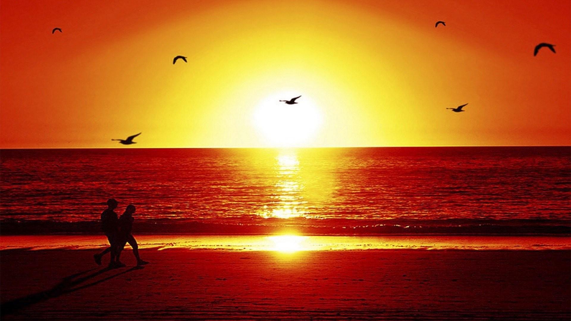 Beach Sunset Wallpaper background picture