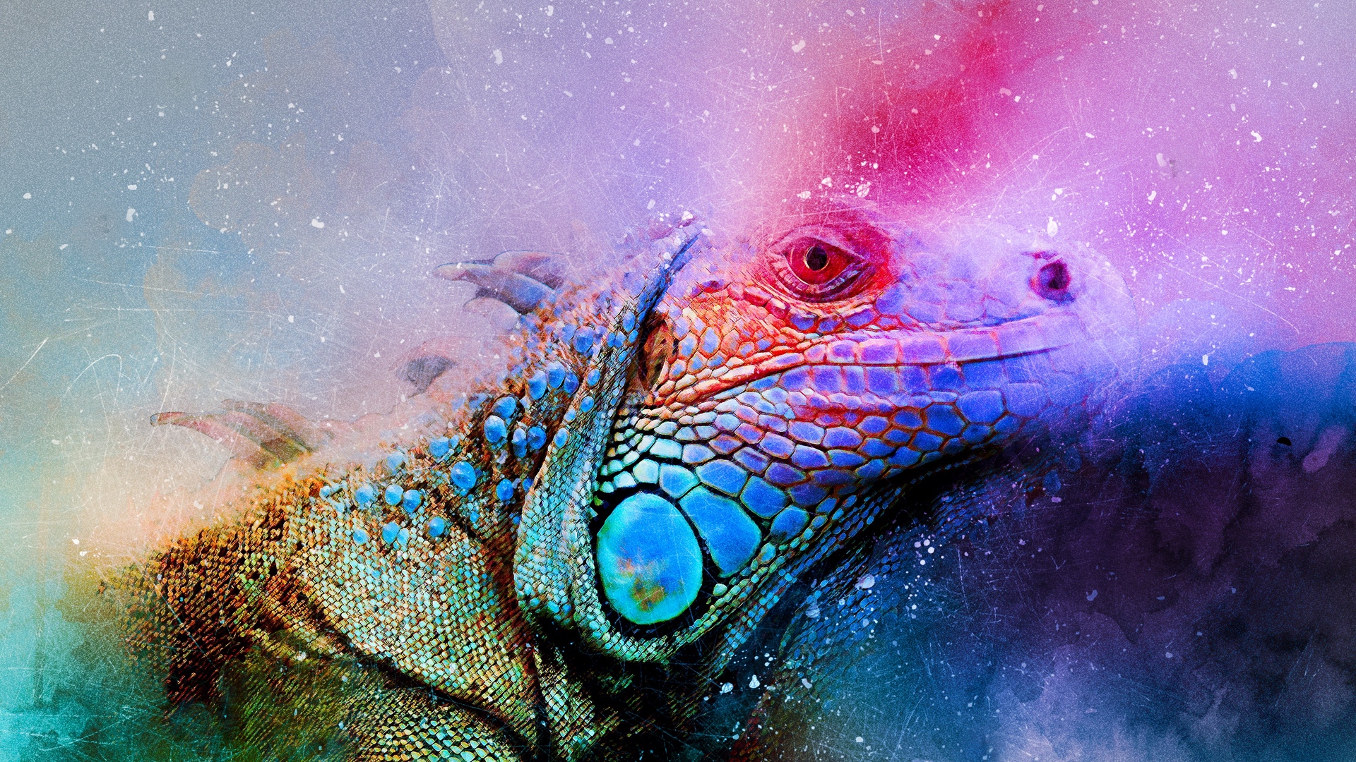 Download wallpaper 1920x1080 iguana, reptile, art, colorful full HD