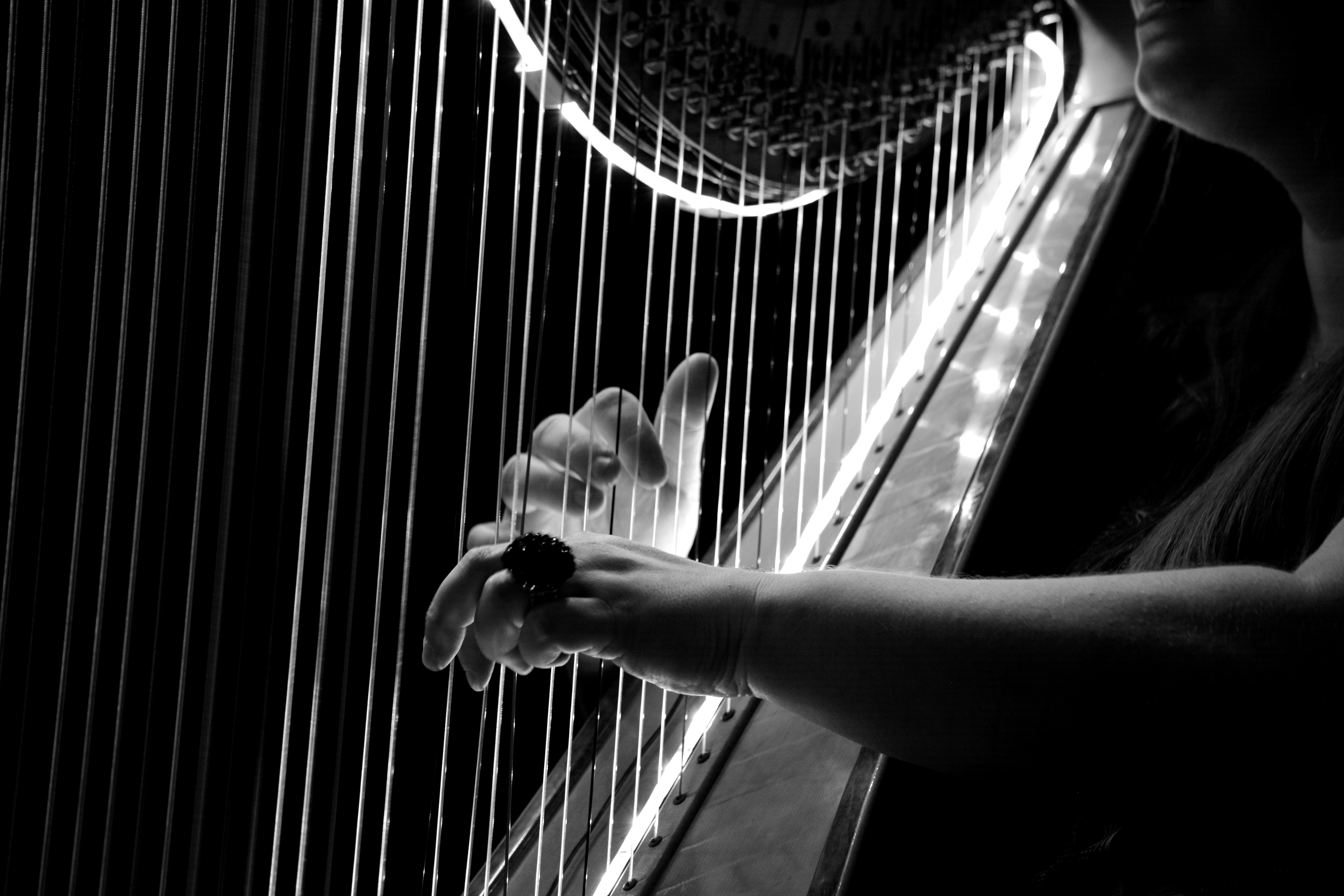grayscale photo of harp free image