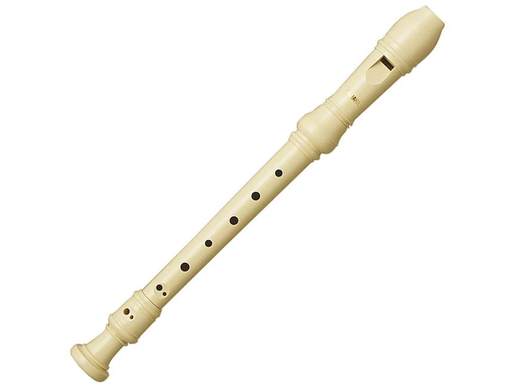 Recorder Buy, Order Or Pick Up? Best Prices!
