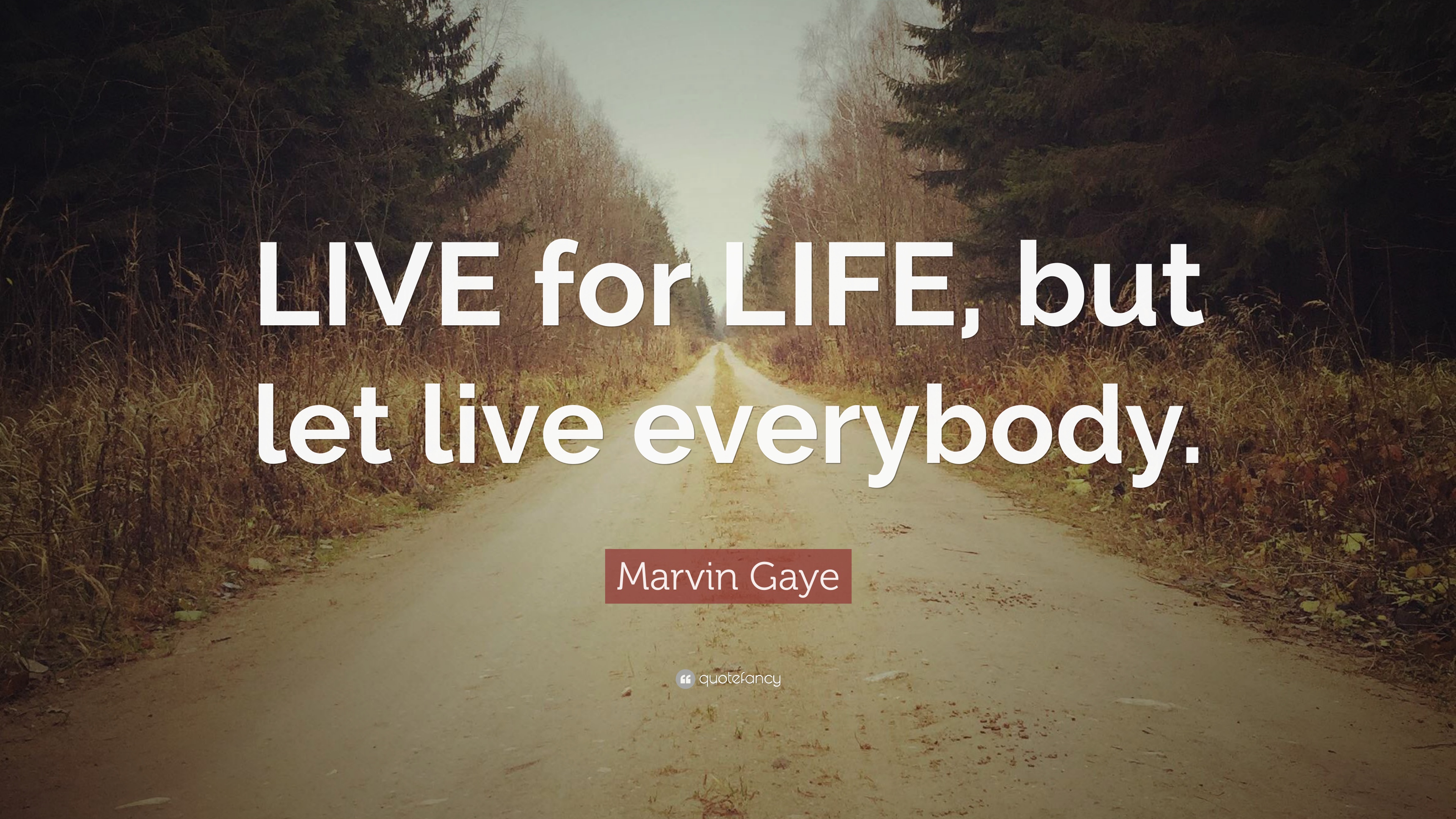 Marvin Gaye Quote: “LIVE for LIFE, but let live everybody.” 10