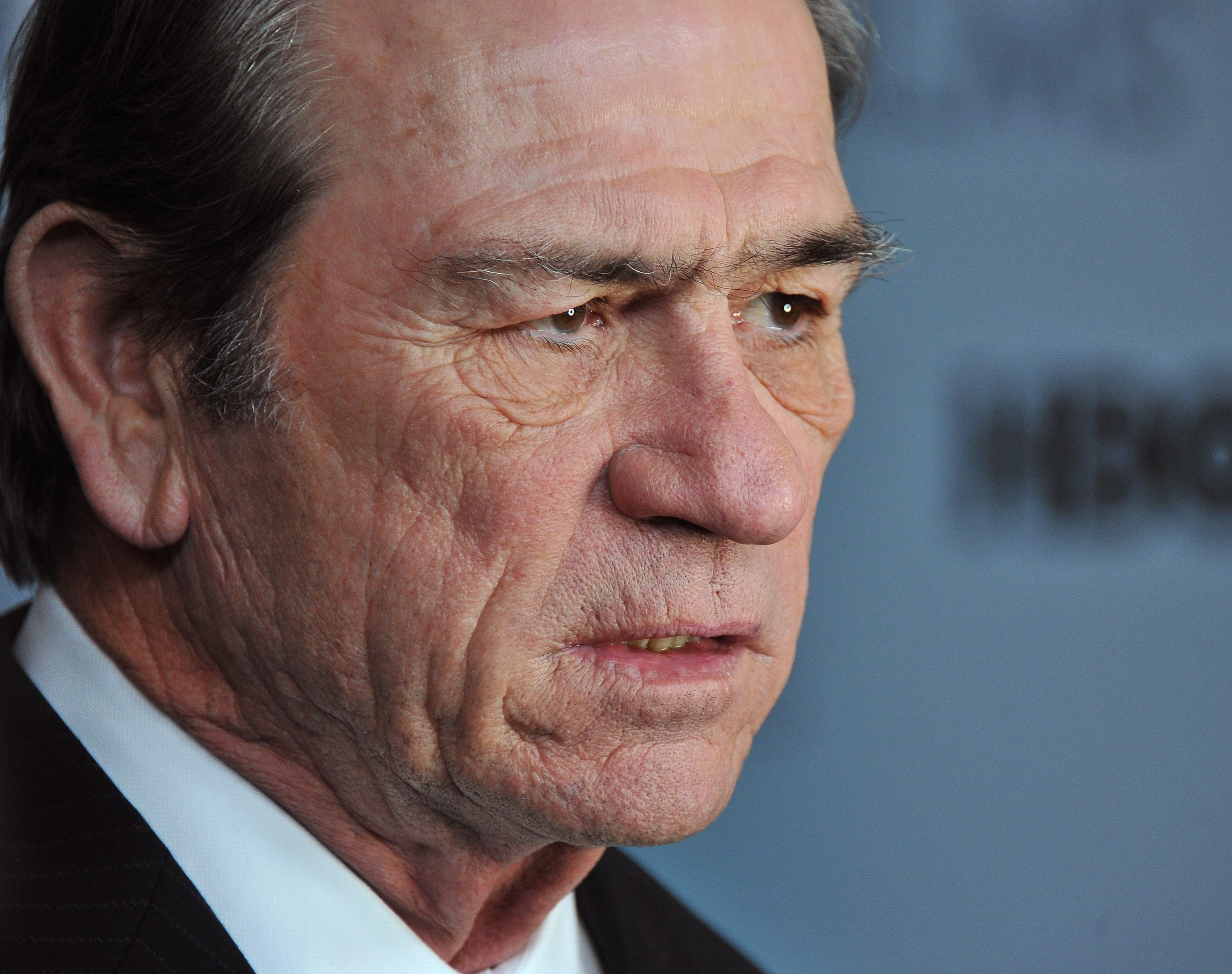 Picture of Tommy Lee Jones, Picture Of Celebrities