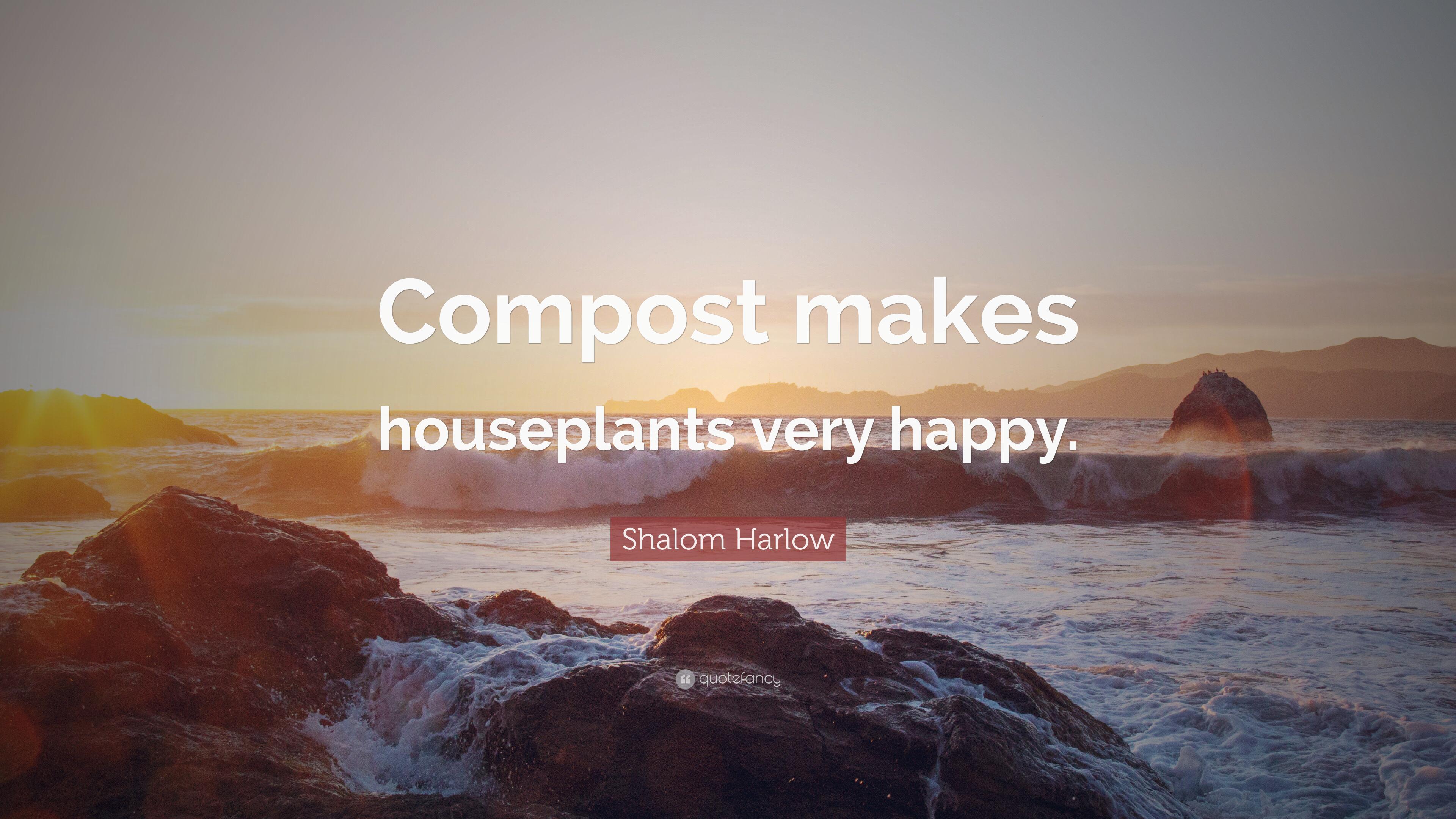 Shalom Harlow Quote: “Compost makes houseplants very happy.” 7