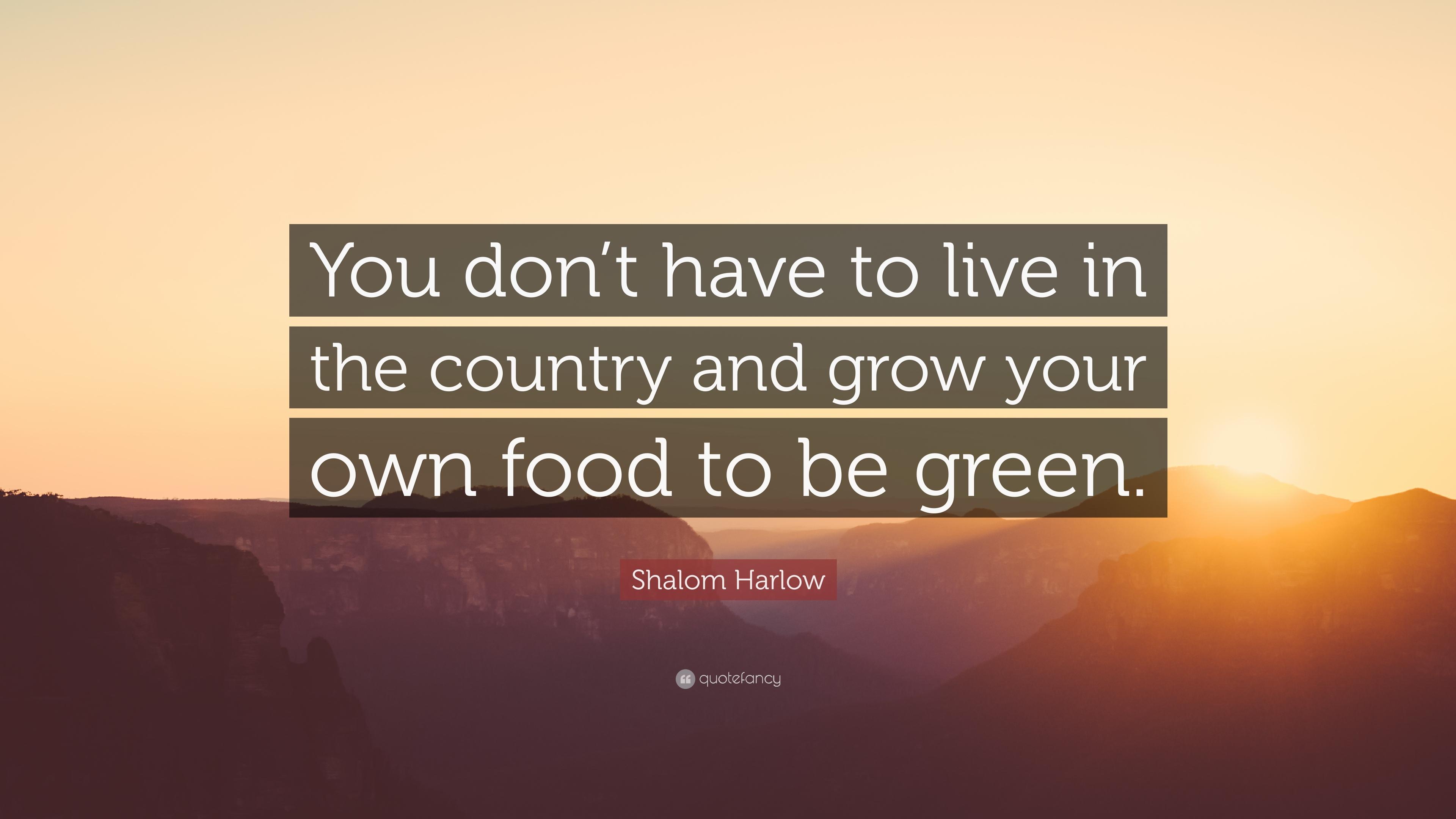 Shalom Harlow Quote: “You don't have to live in the country and grow