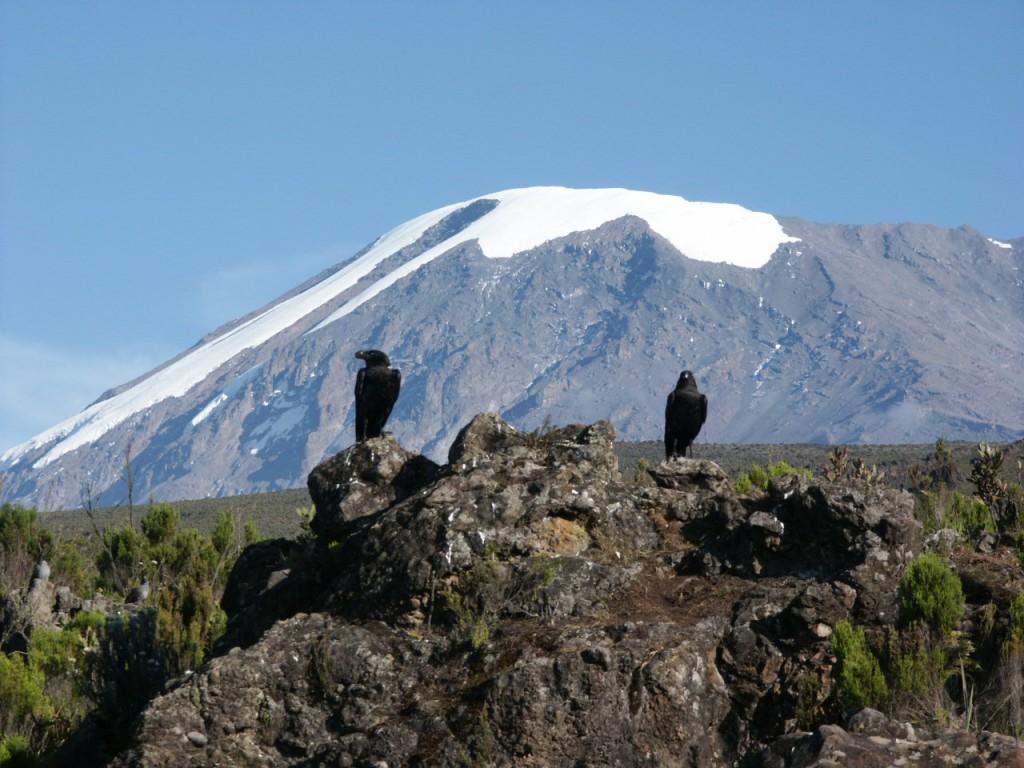The snows of Kilimanjaro, and why seeing is believing
