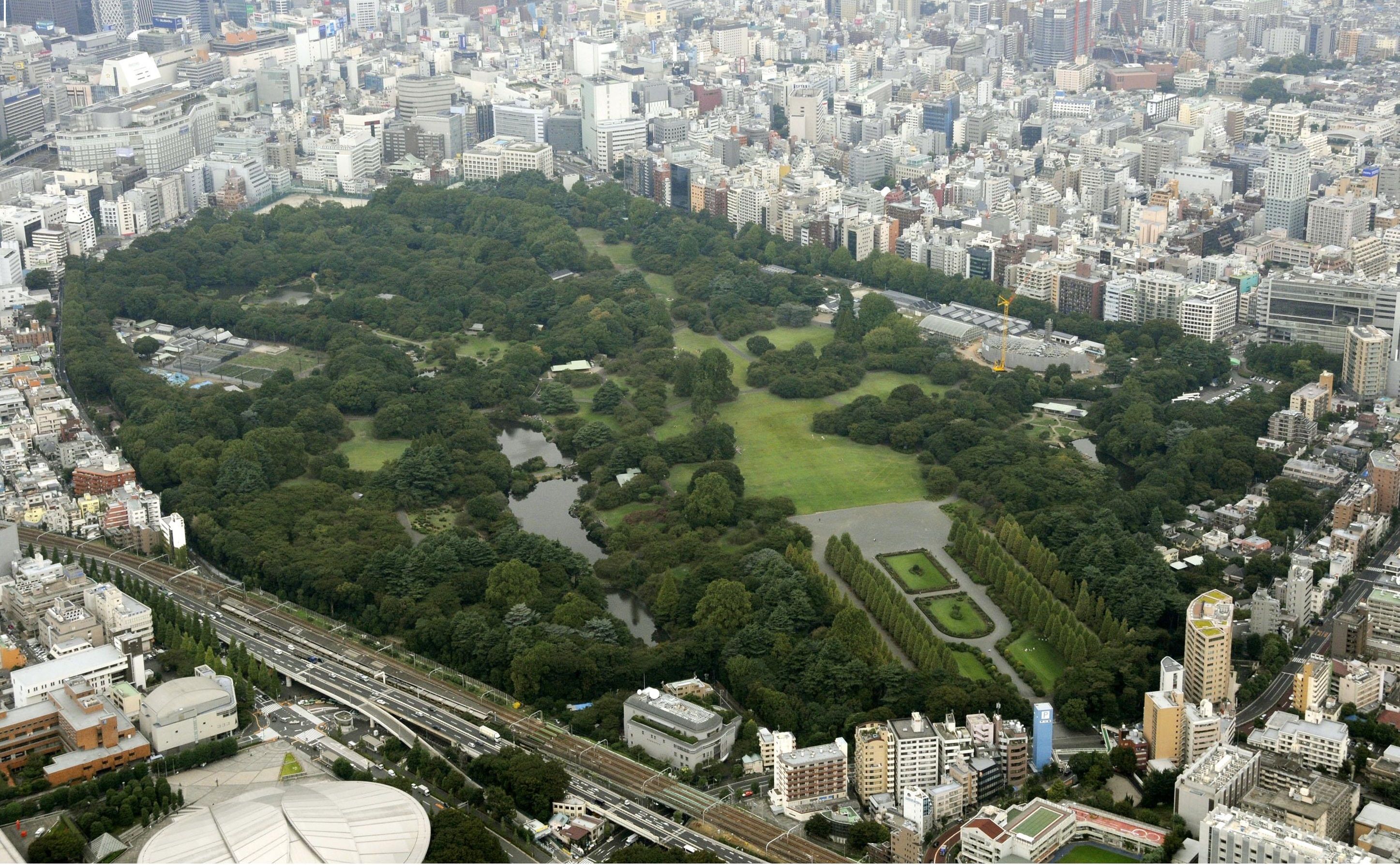 Shinjuku Gyoen National Garden (sky view). Tokyo. Shinjuku
