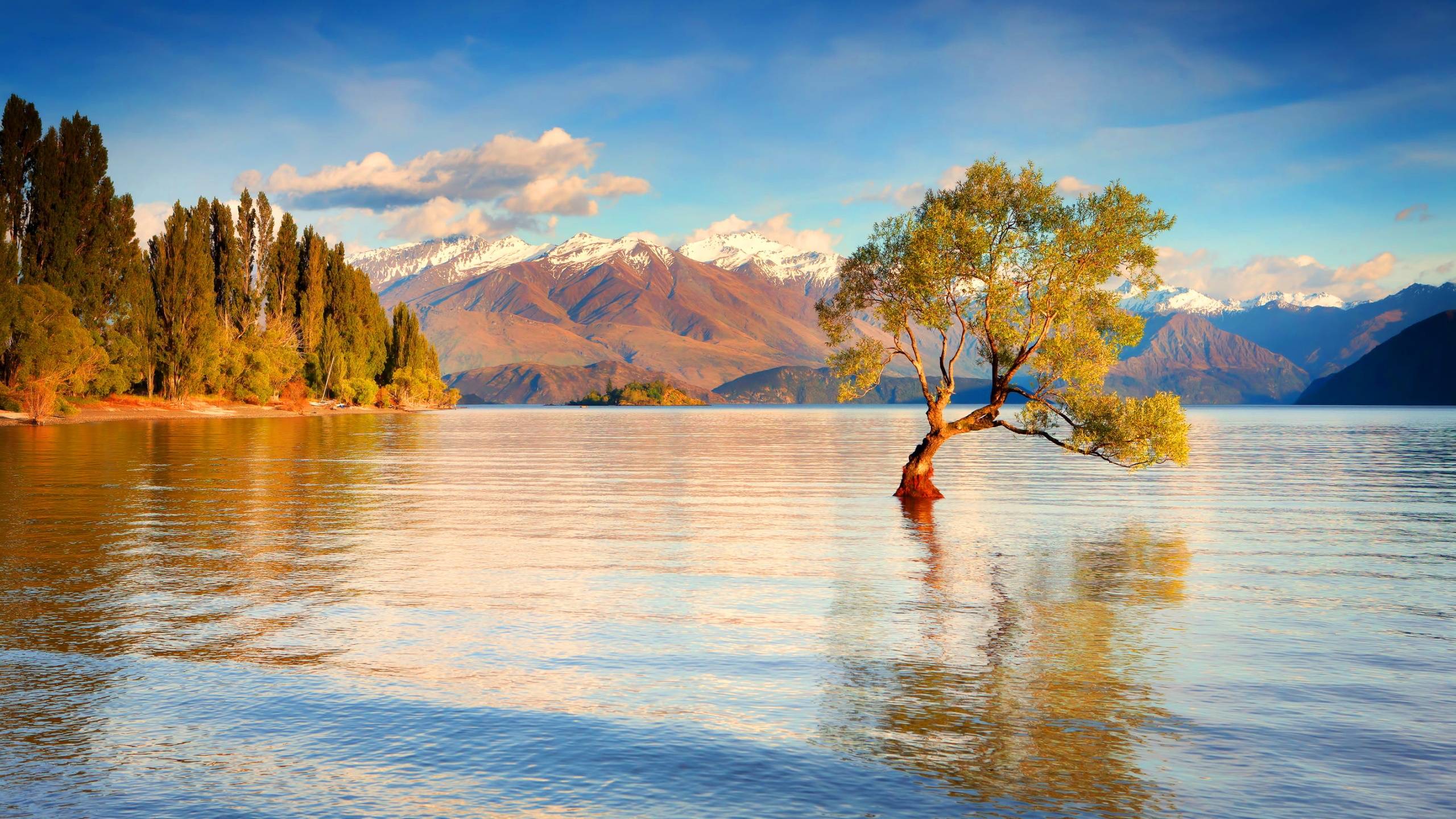 Full HD New Zealand Wallpaper For Free Download: The Land