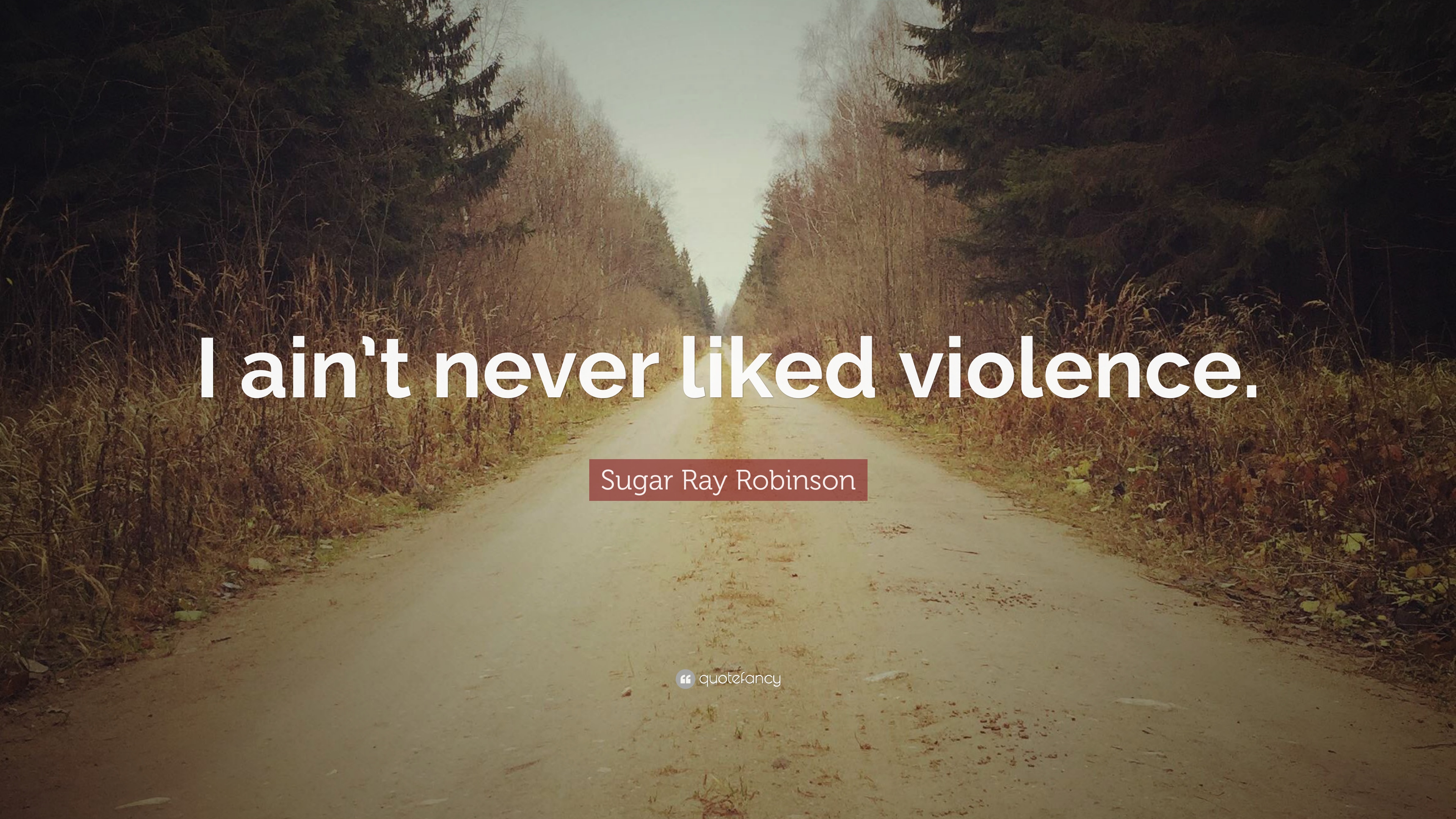 Sugar Ray Robinson Quote: “I ain't never liked violence.” 7