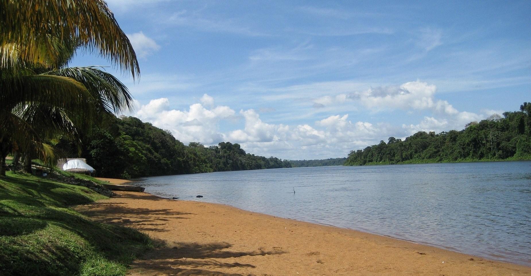 River and Tropical Coas in Suriname Wallpaper